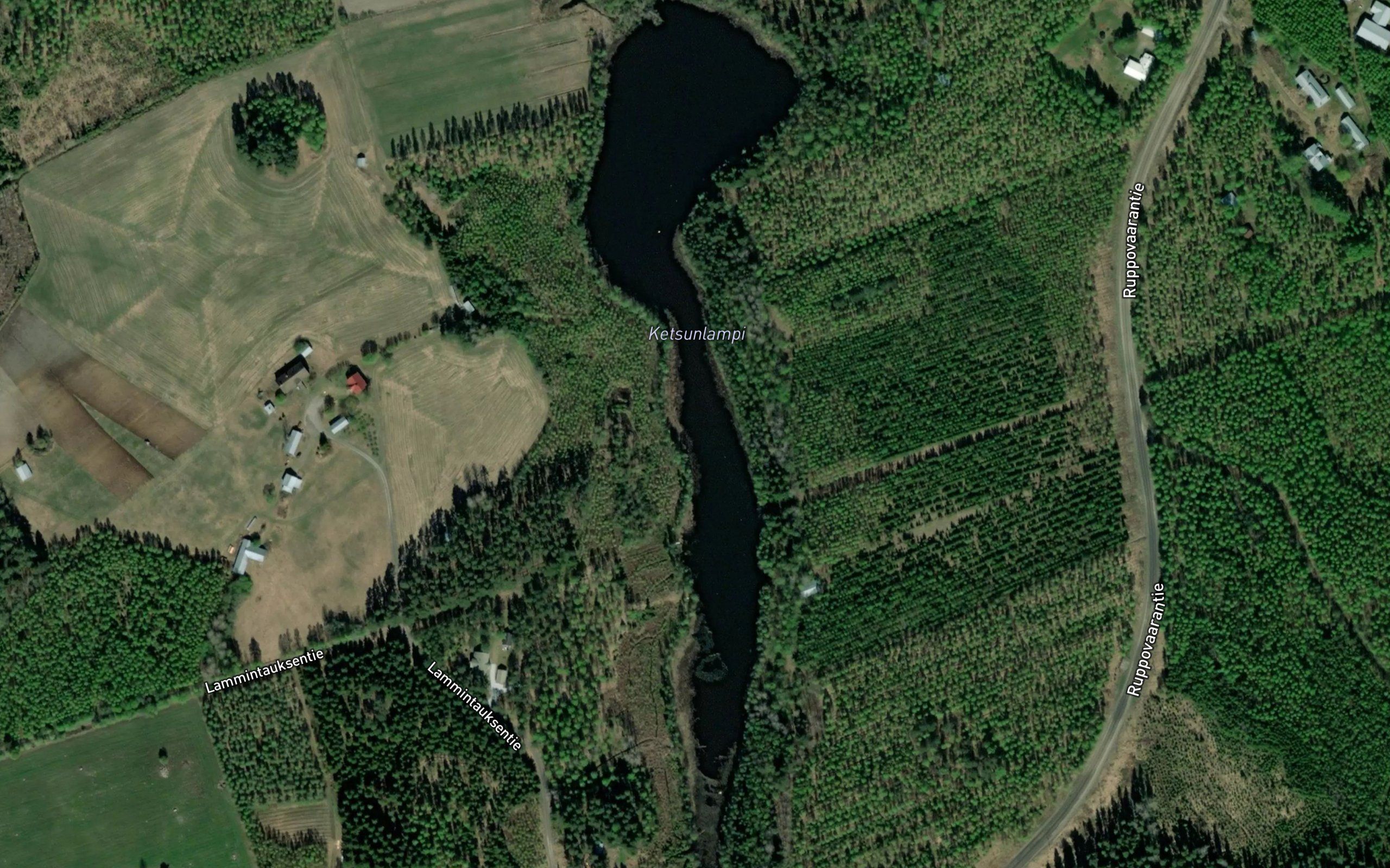 Kertsunlampi