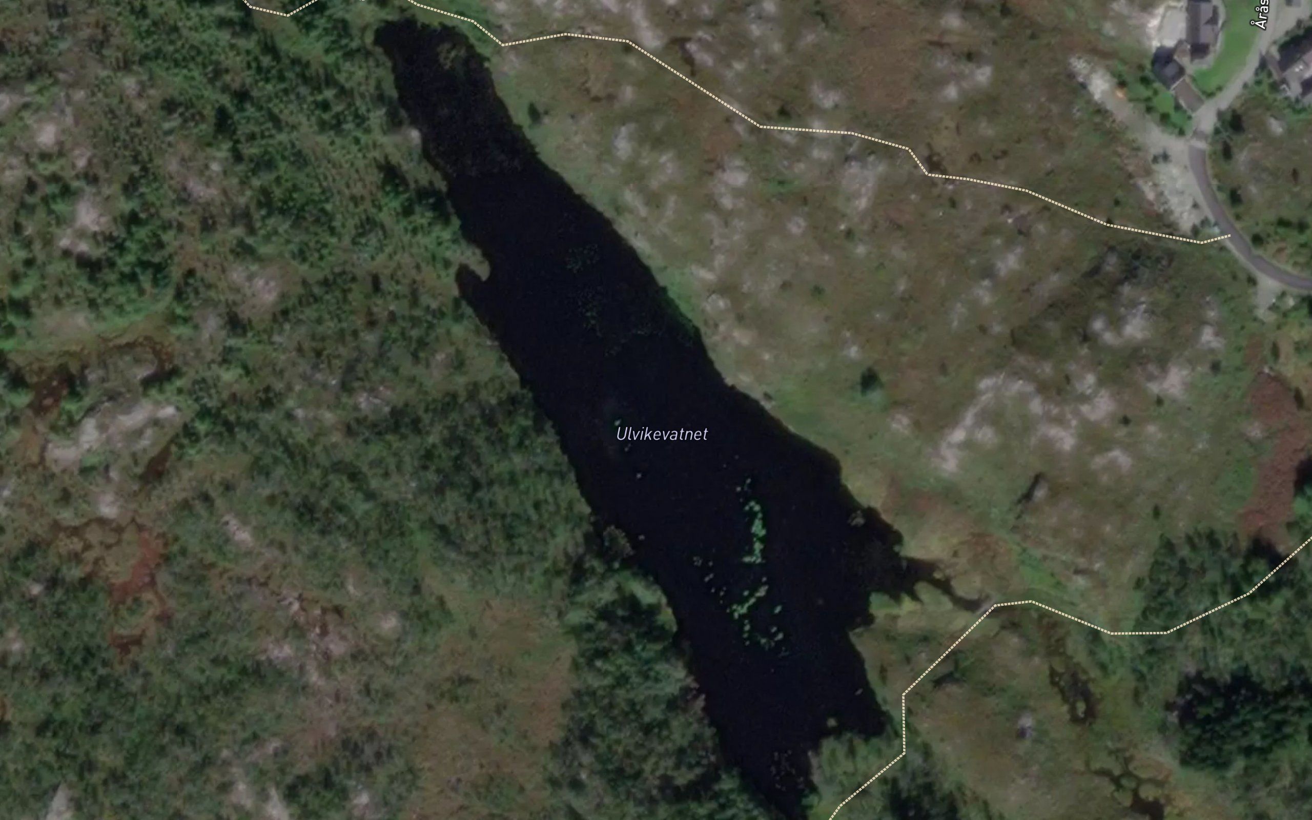 Ulvikavatnet