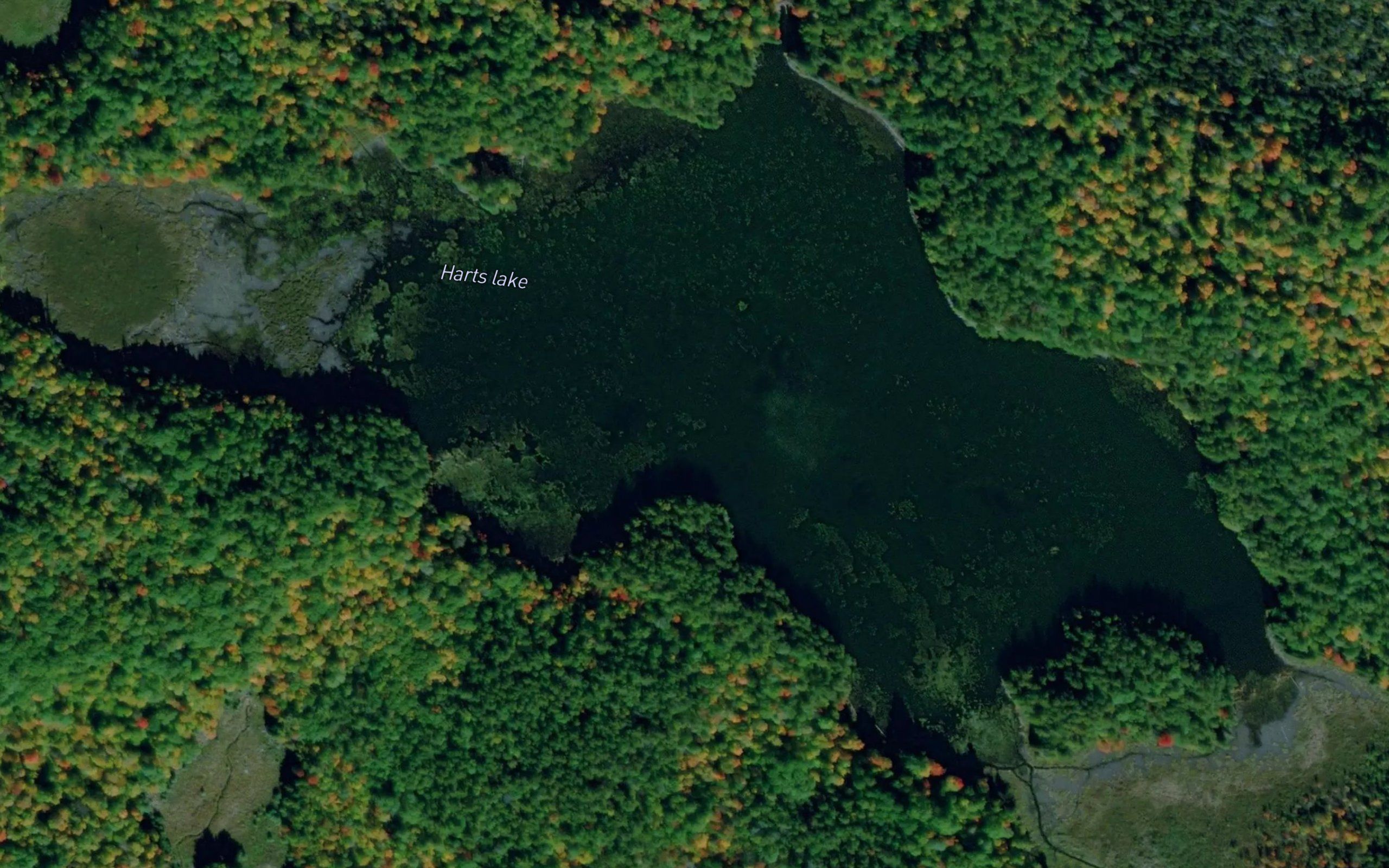Harts Lake