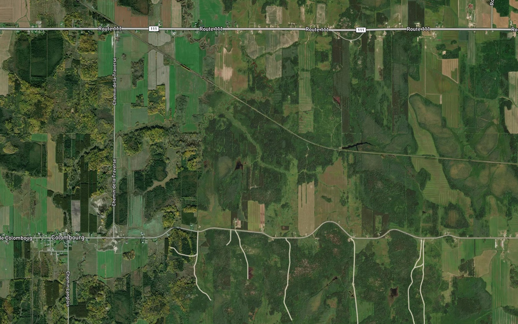 Satellite map of the Branche Bois