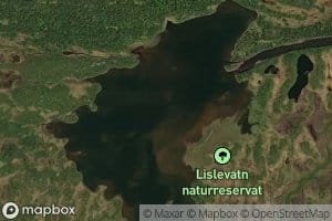 Lislevatn