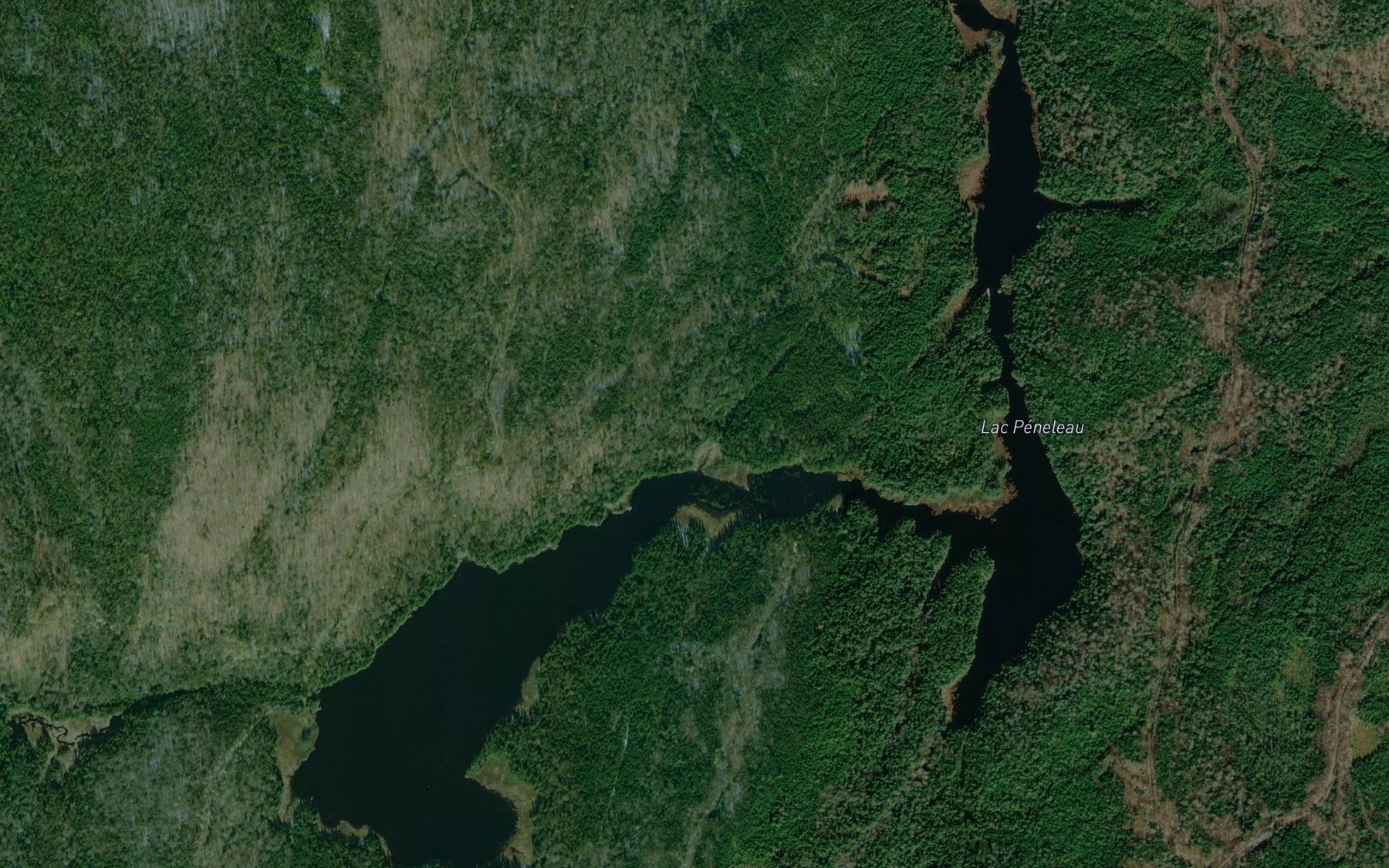 Satellite map of the Lac Peneleau