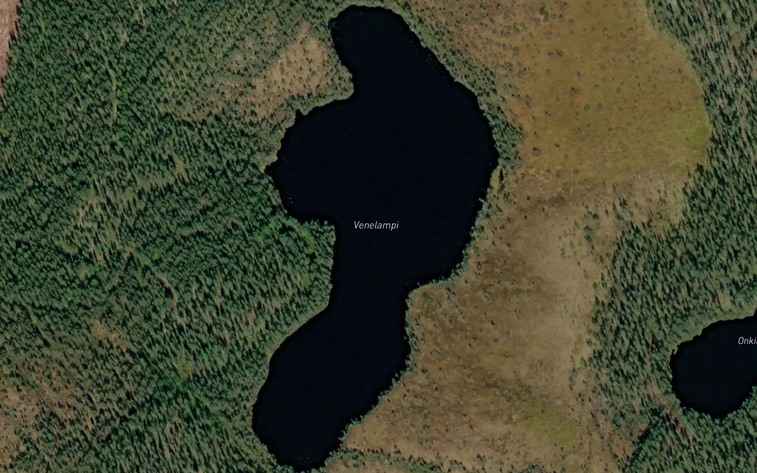 Venelampi