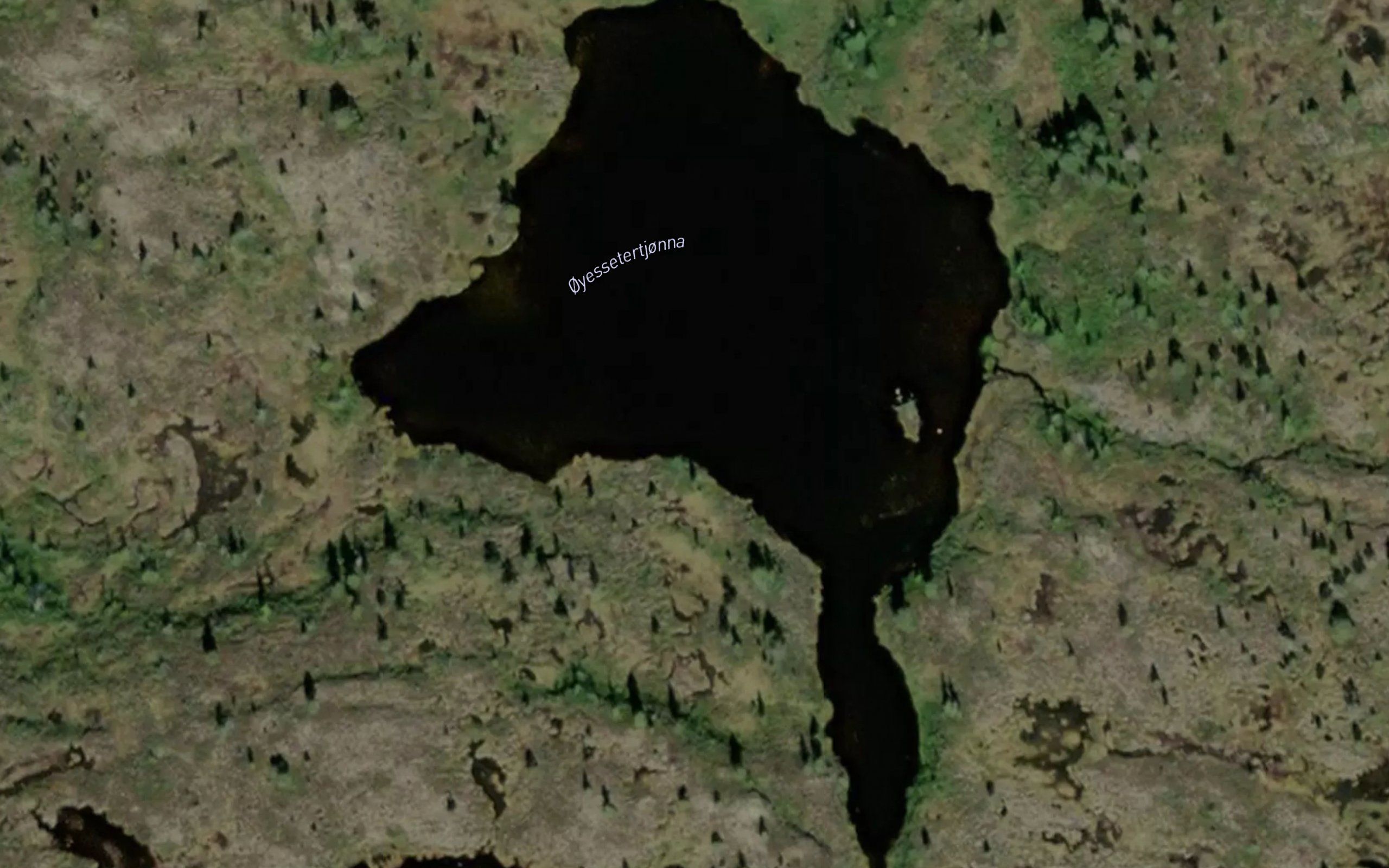 Oiemsaetertjorna
