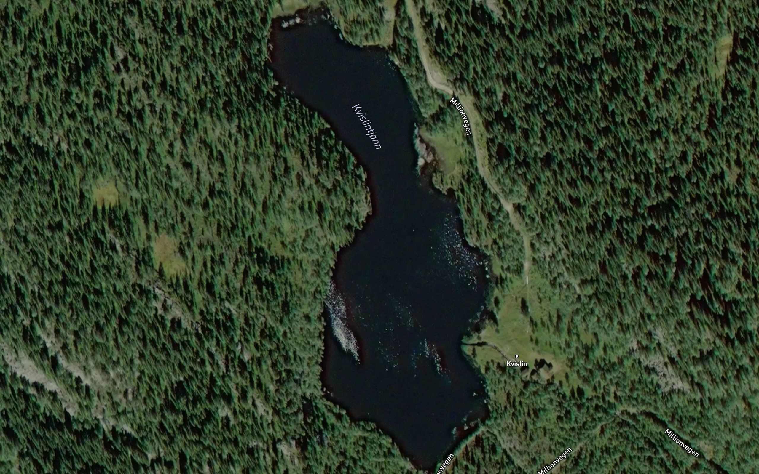 Kvislintjonn