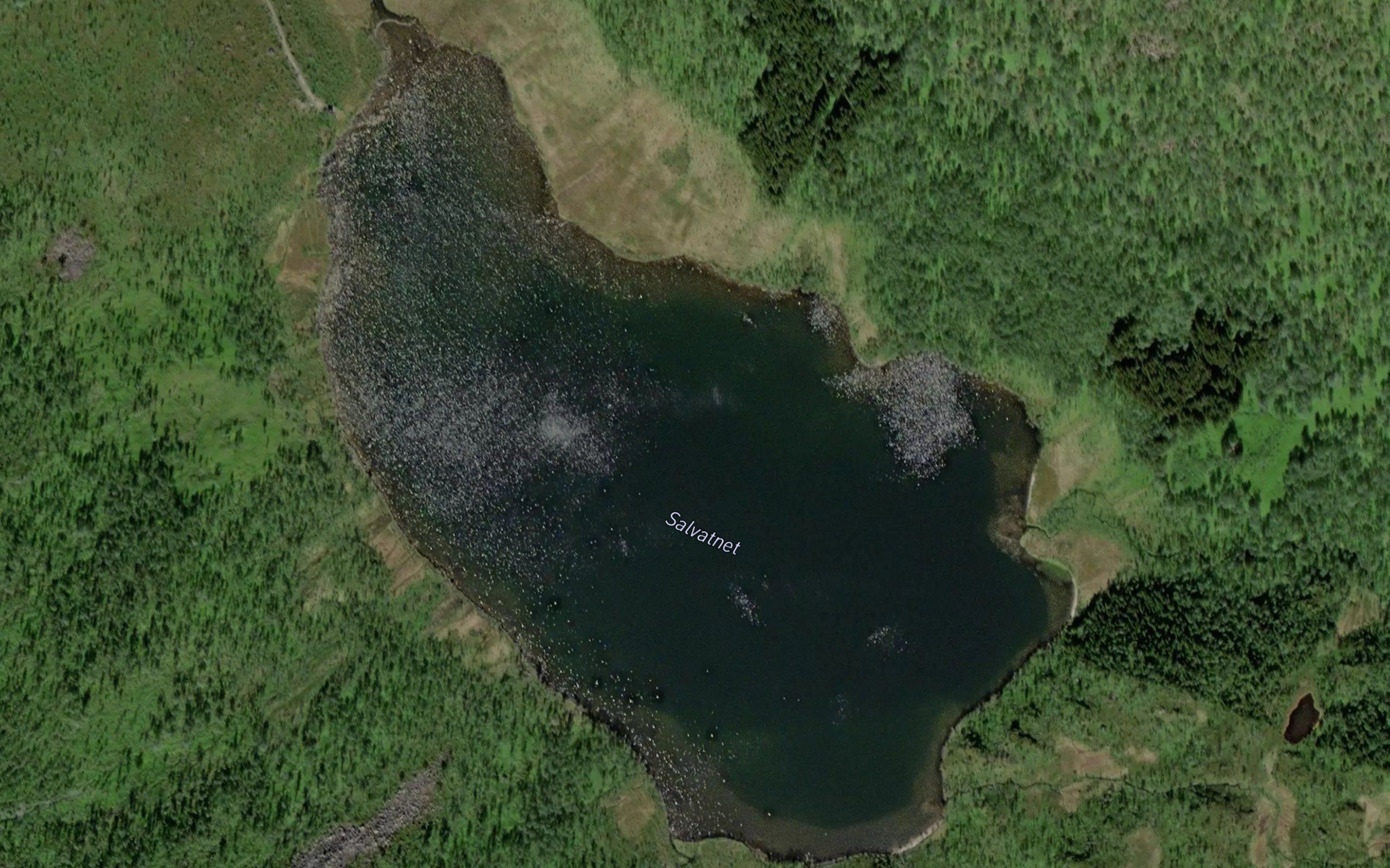 Salvatnet