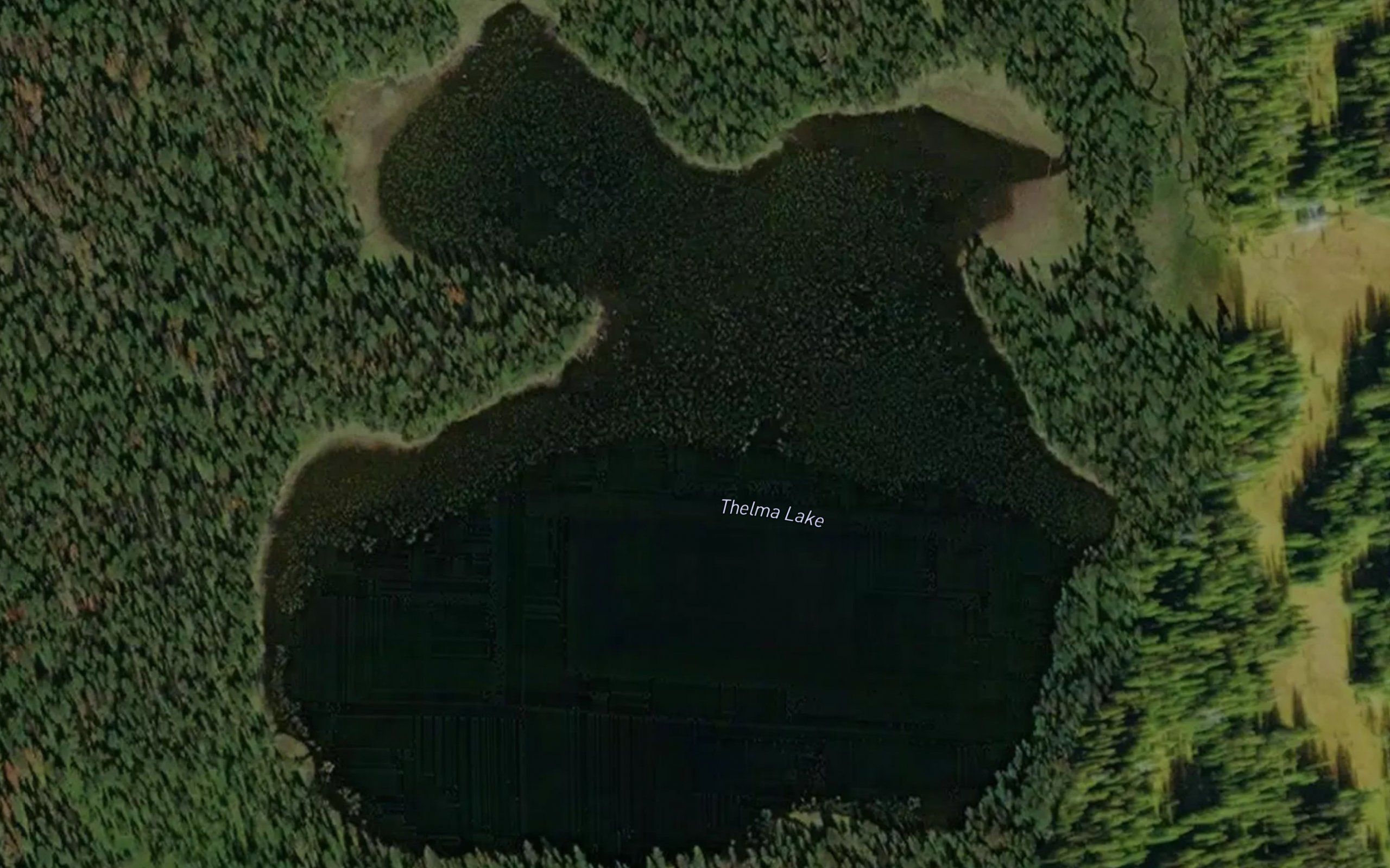 Thelma Lake