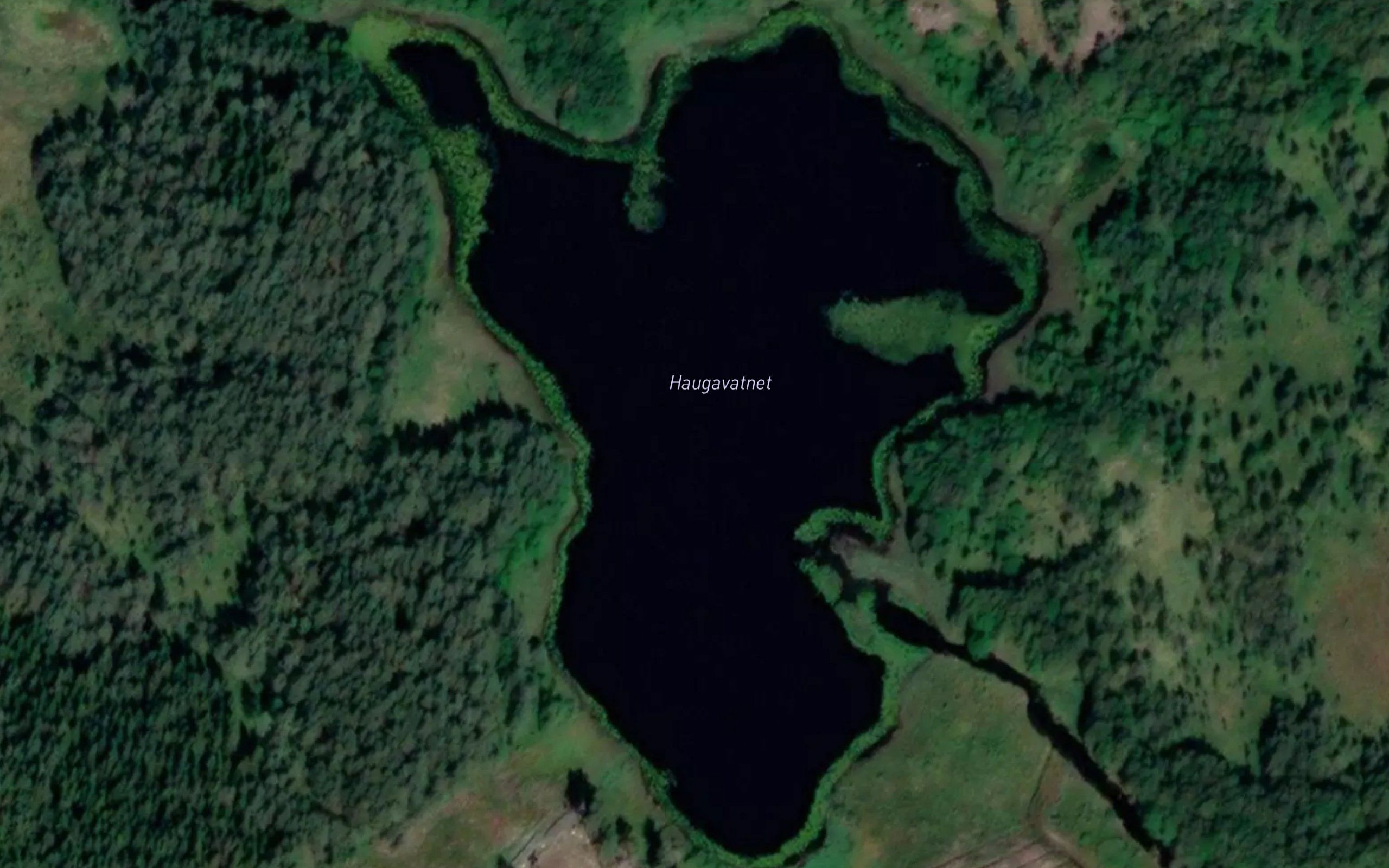 Haugavatnet