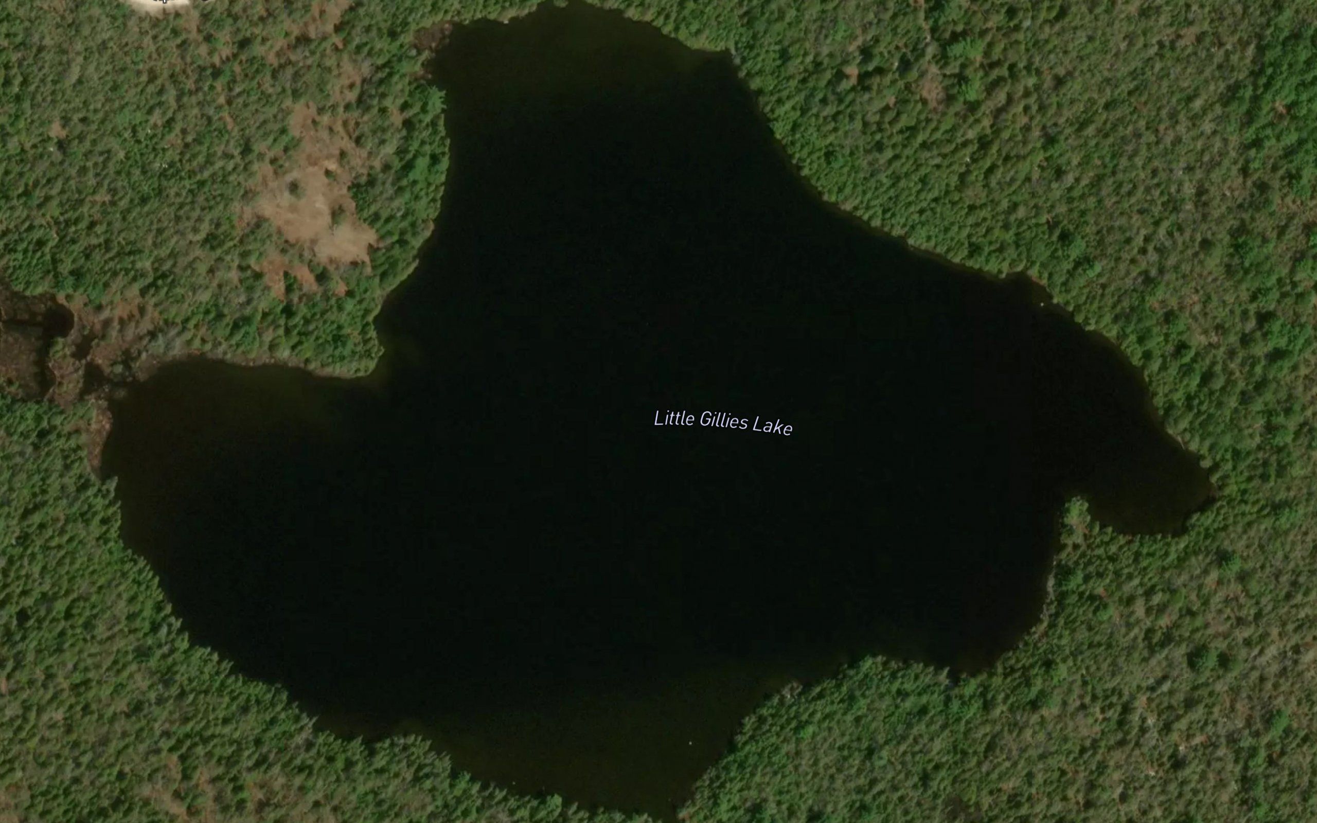Little Gillies Lake