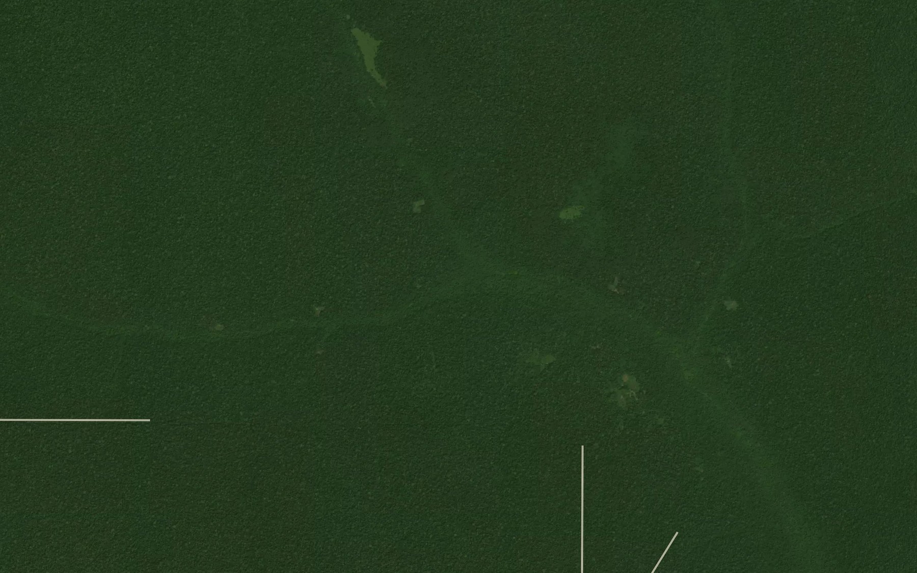 Satellite map of the Bokombe