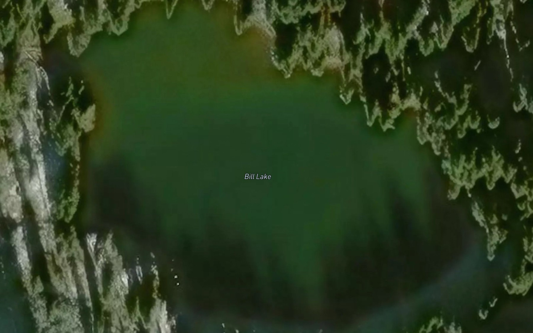 Satellite map of the Bill Lake
