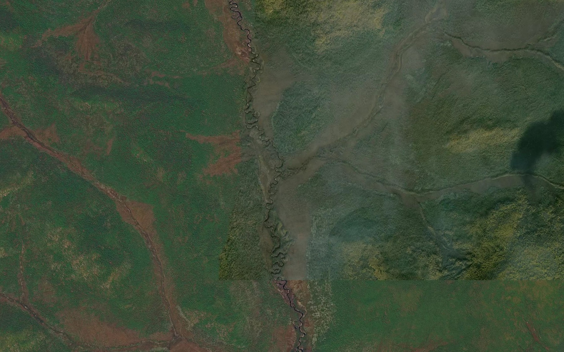 Satellite map of the Vetvistyy