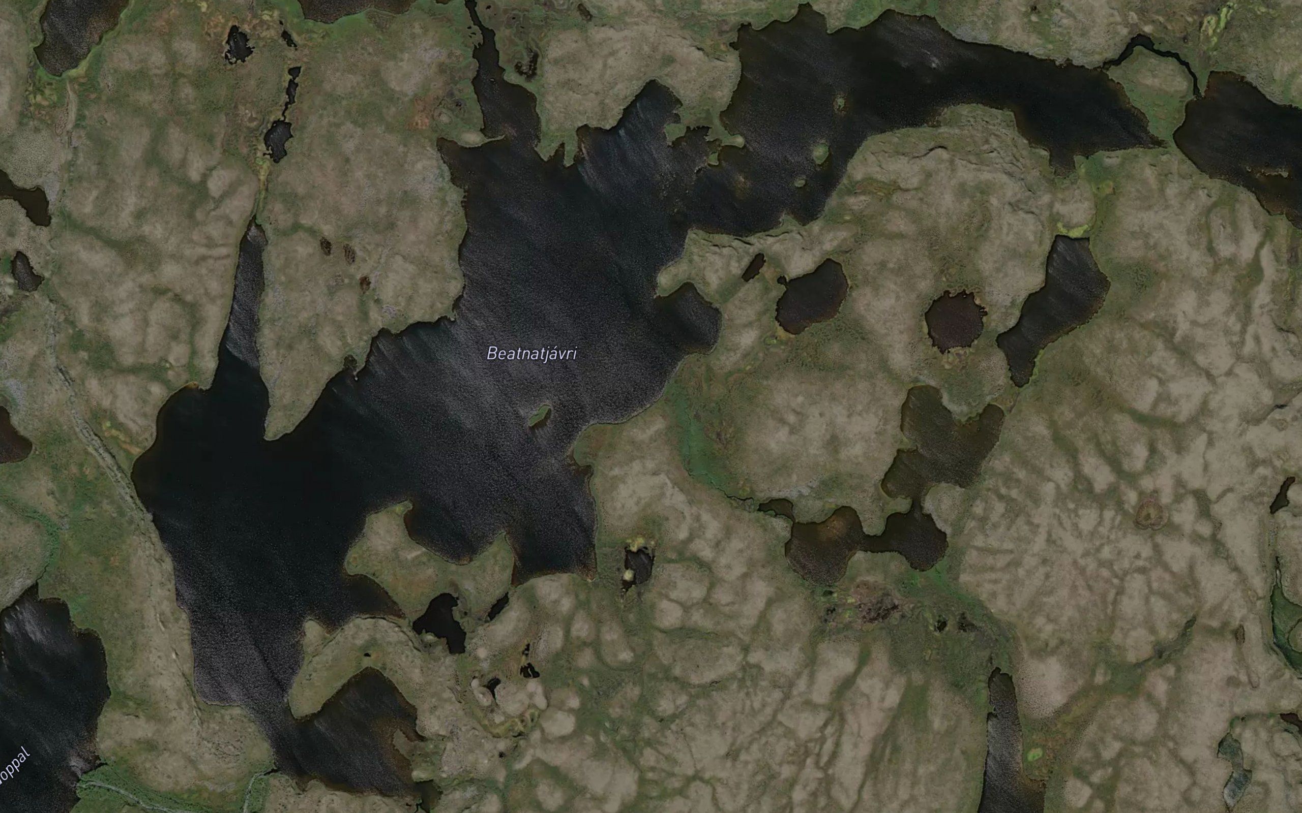 Beatnatjavri