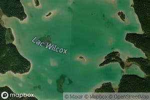 Lac Wilcox