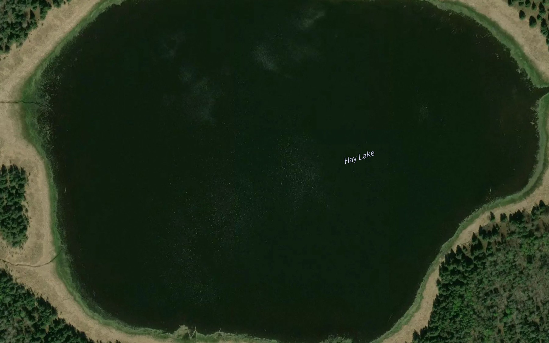Satellite map of the Hay Lake