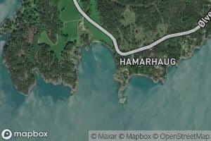 Hamarhaugvika