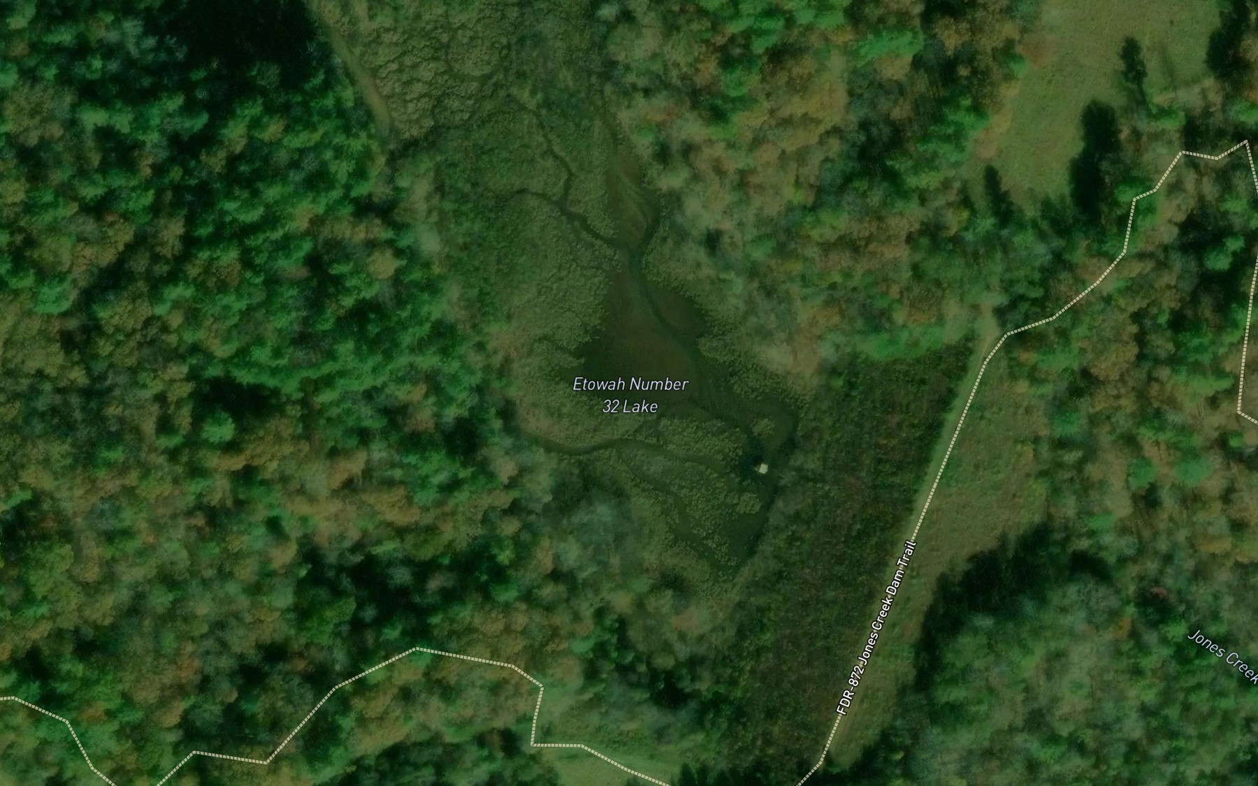 Satellite map of the Etowah Number 32 Lake