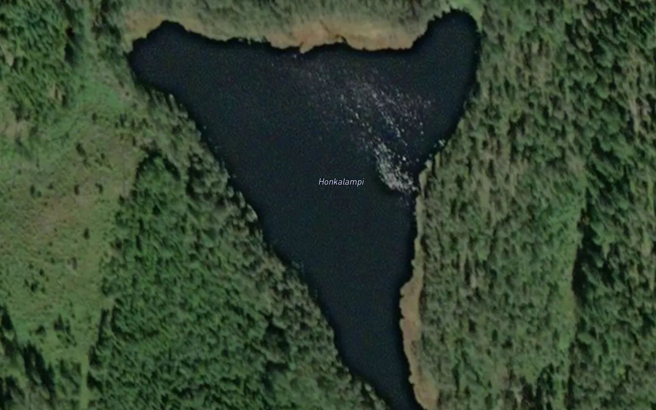 Honkalampi