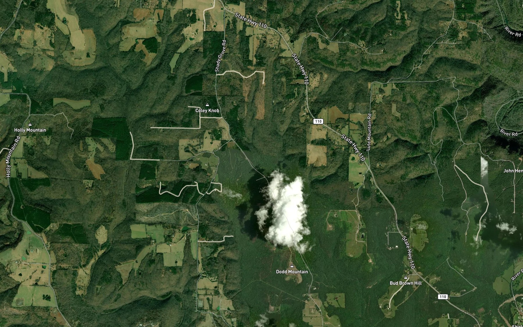 Satellite map of the Big Branch