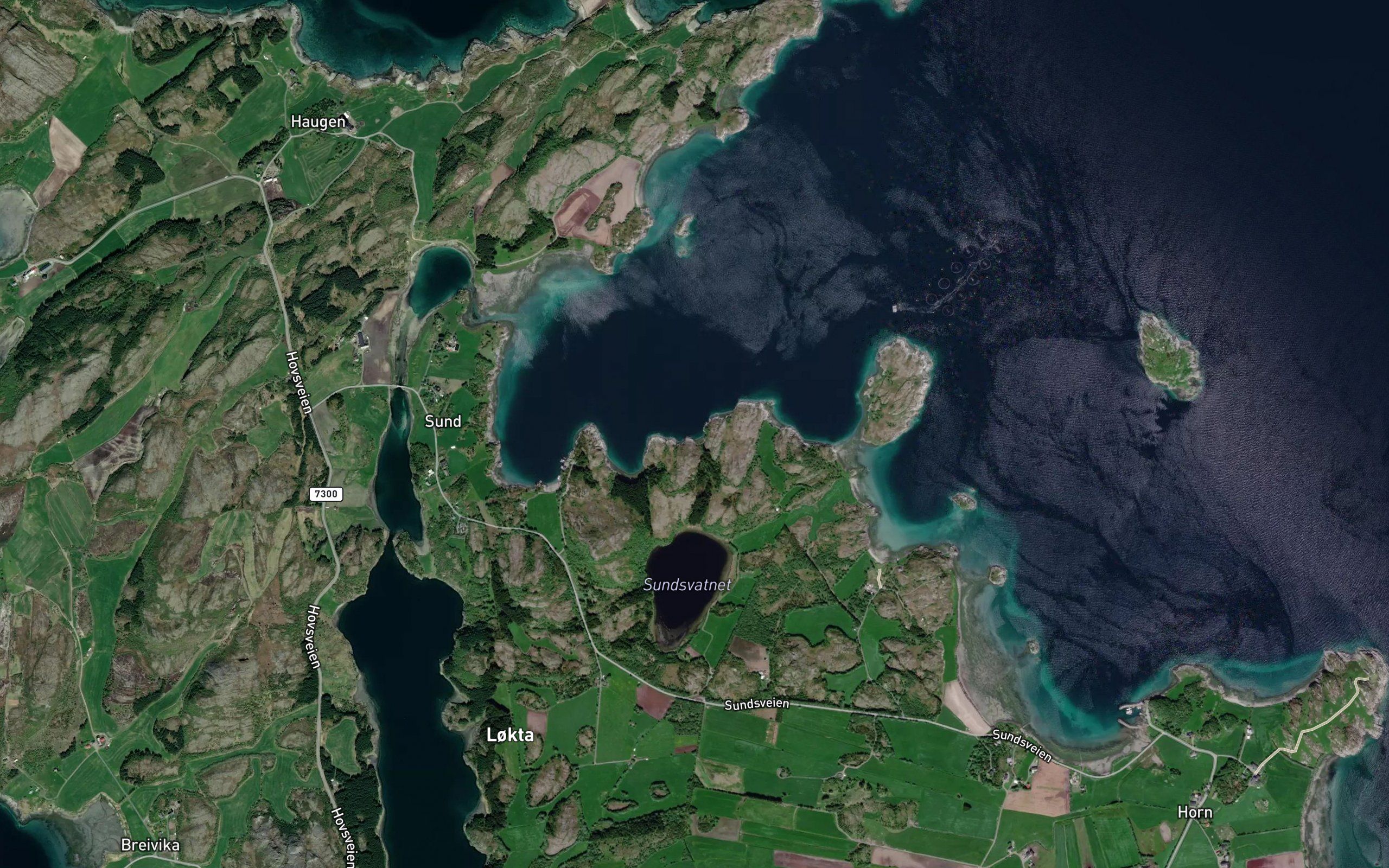 Brattvikja