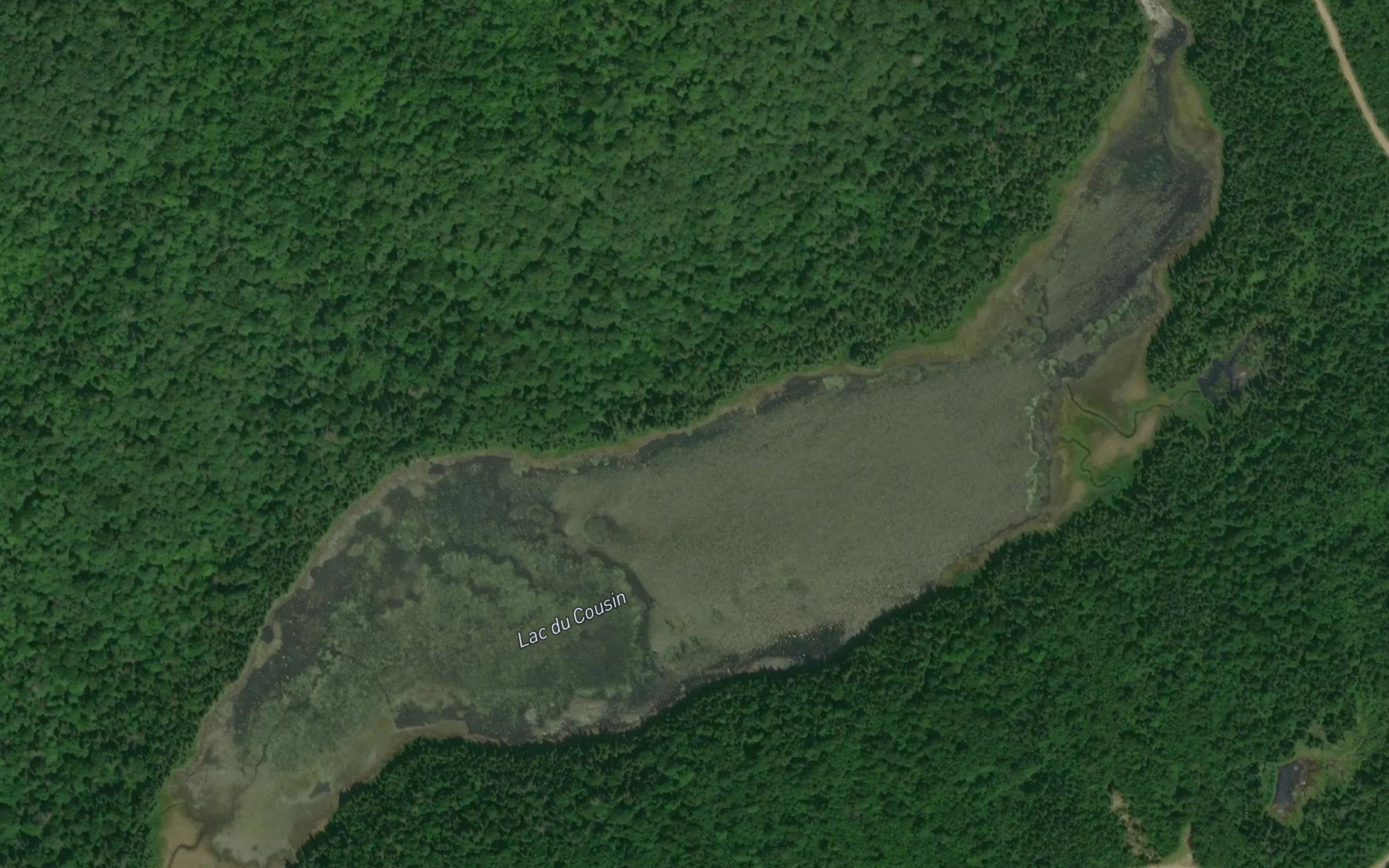 Satellite map of the Lac du Cousin