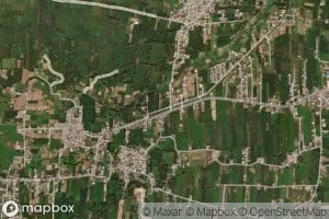 Distributary Number Eight