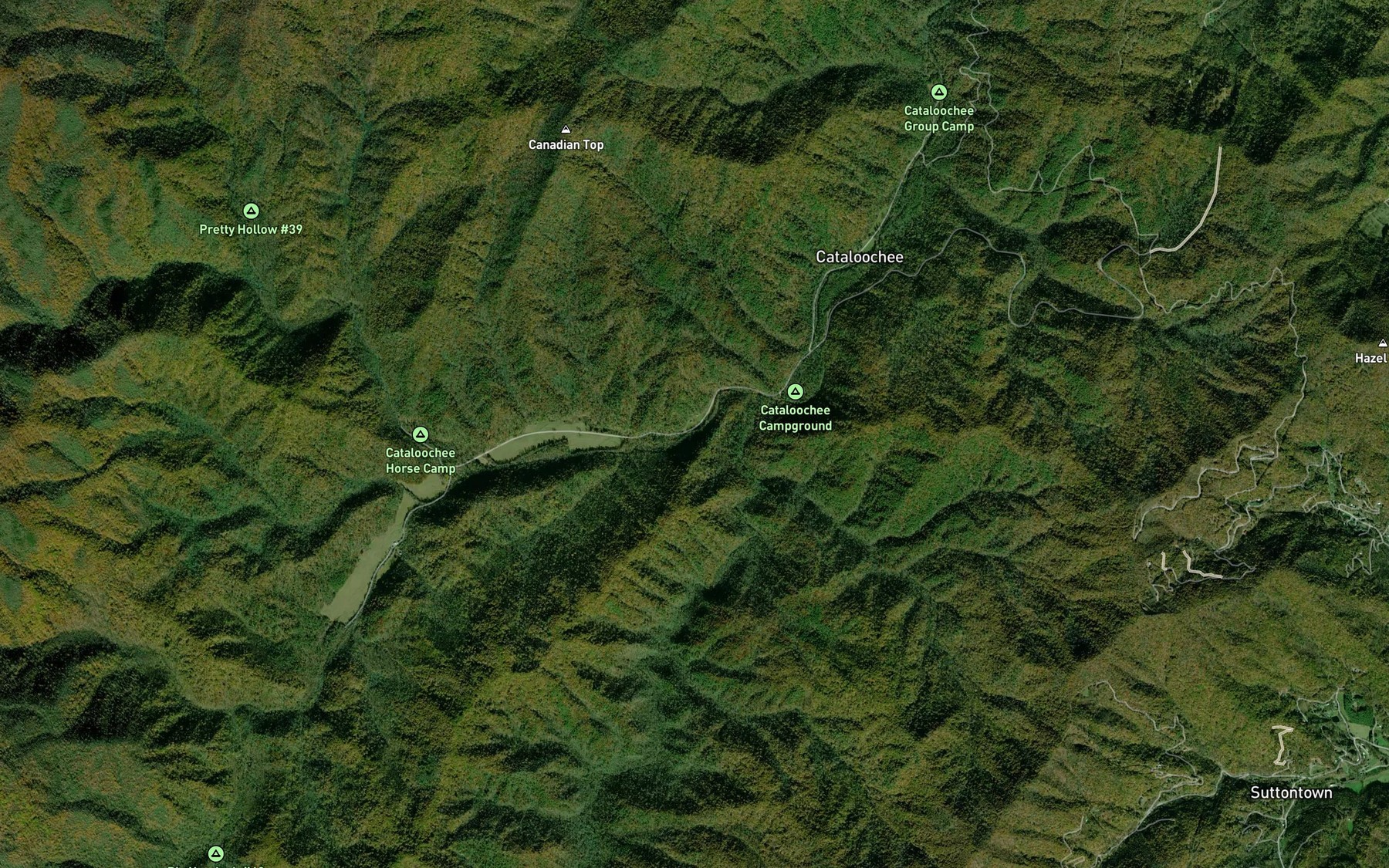 Satellite map of the Mossy Branch
