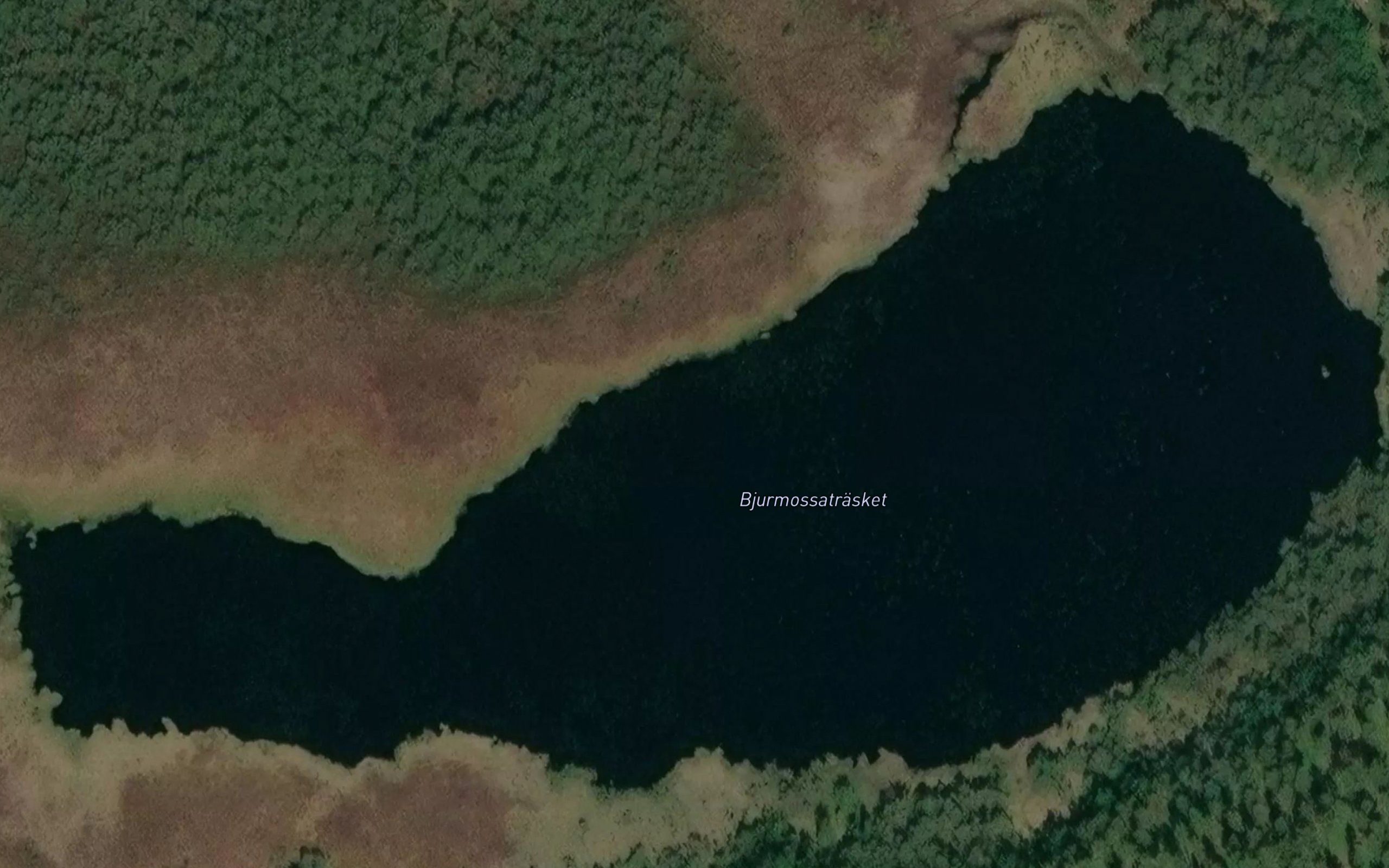 Bjurmossatrasket