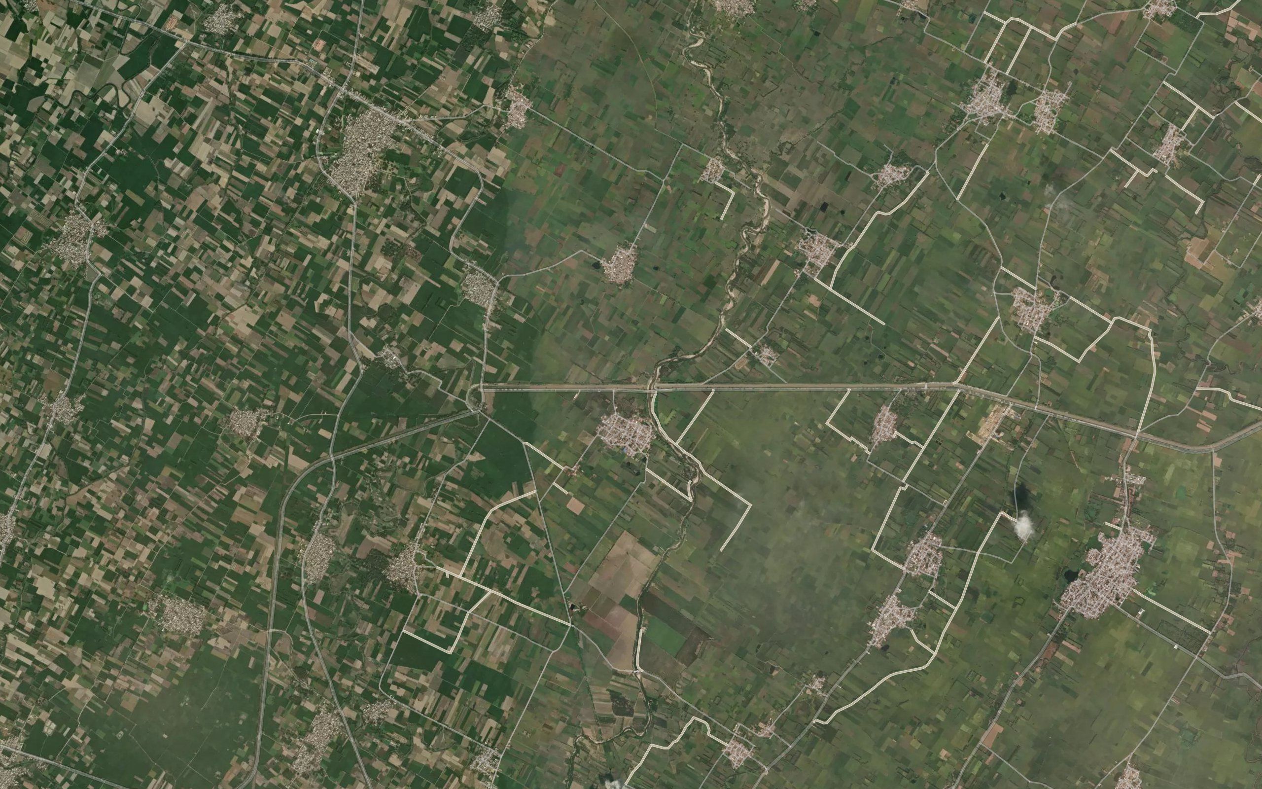 Singia Nala