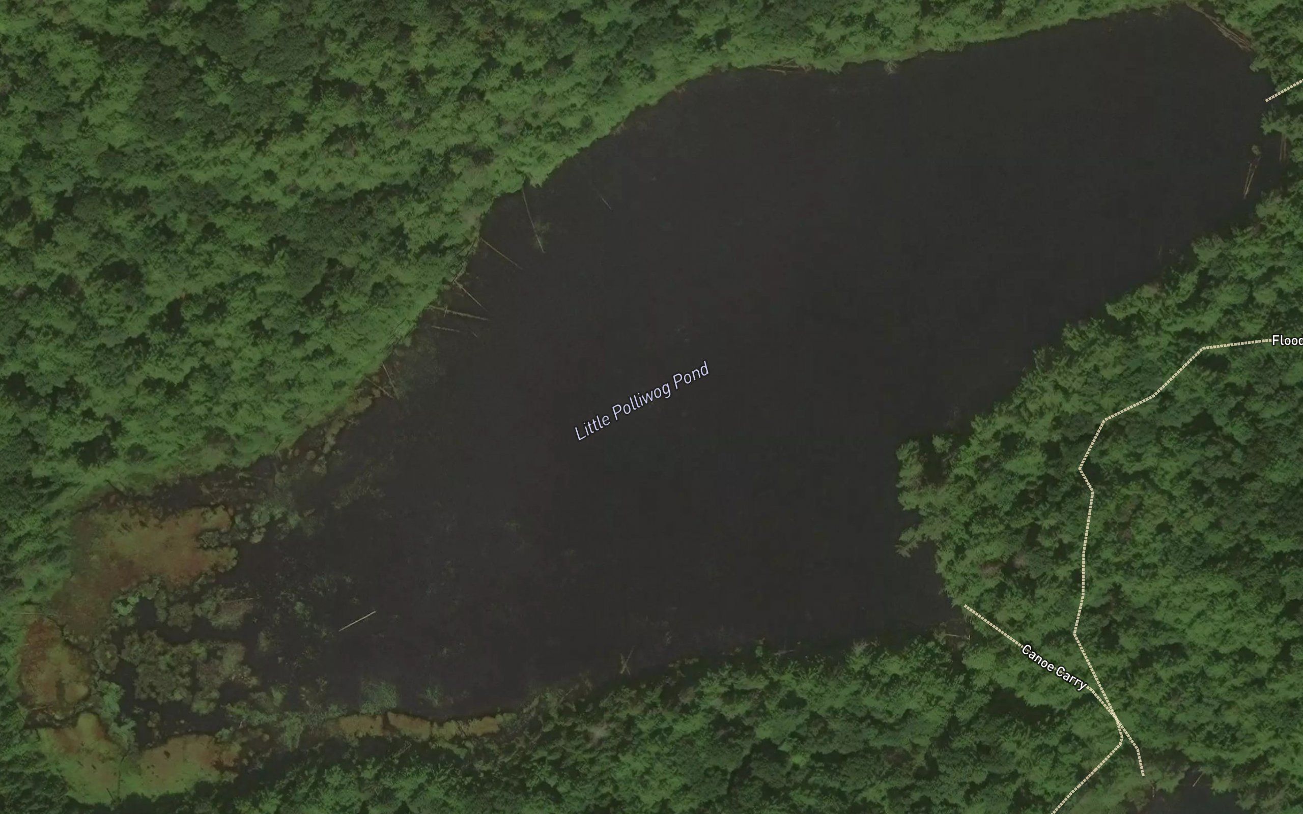 Little Polliwog Pond