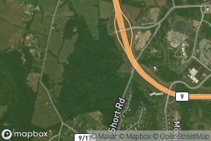 Satellite map of the Van Meter Spring