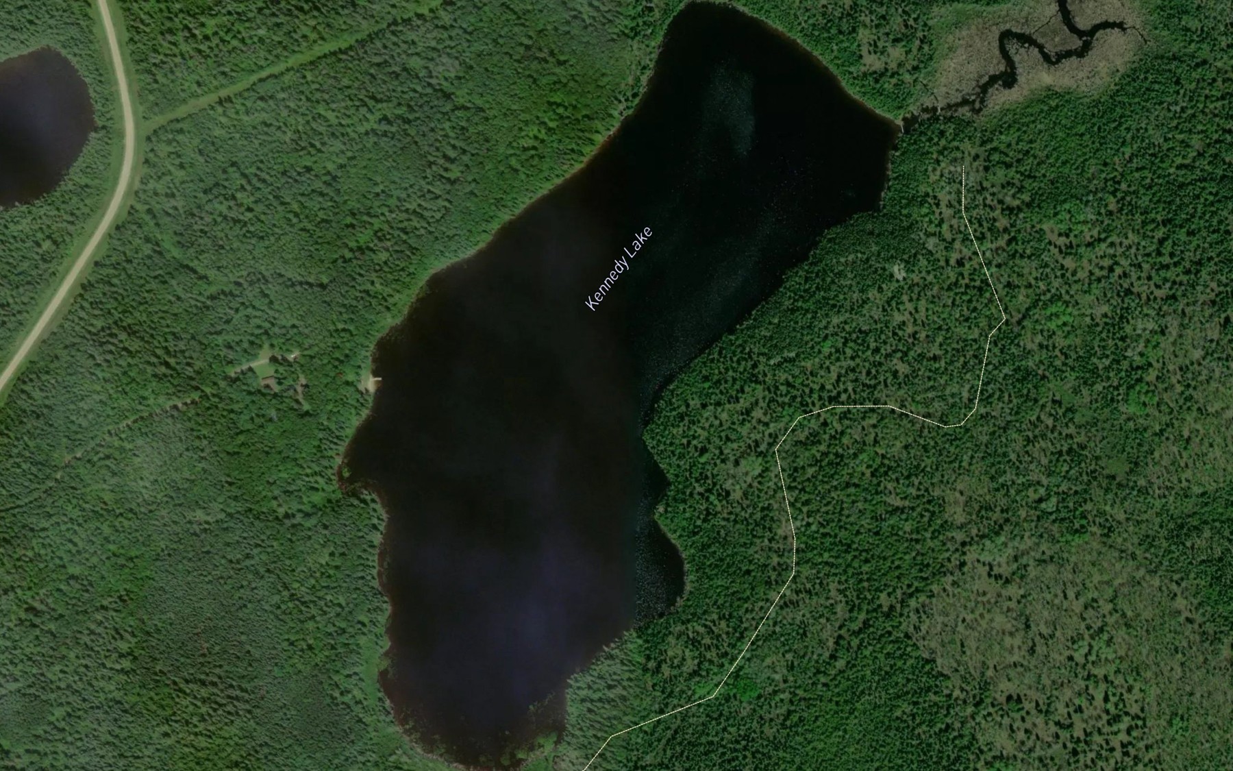 Satellite map of the Kennedy Lake