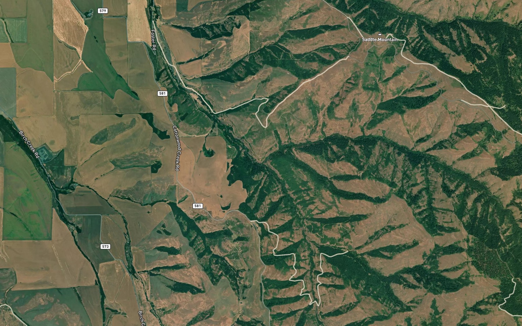 Satellite map of the South Fork Cottonwood Creek