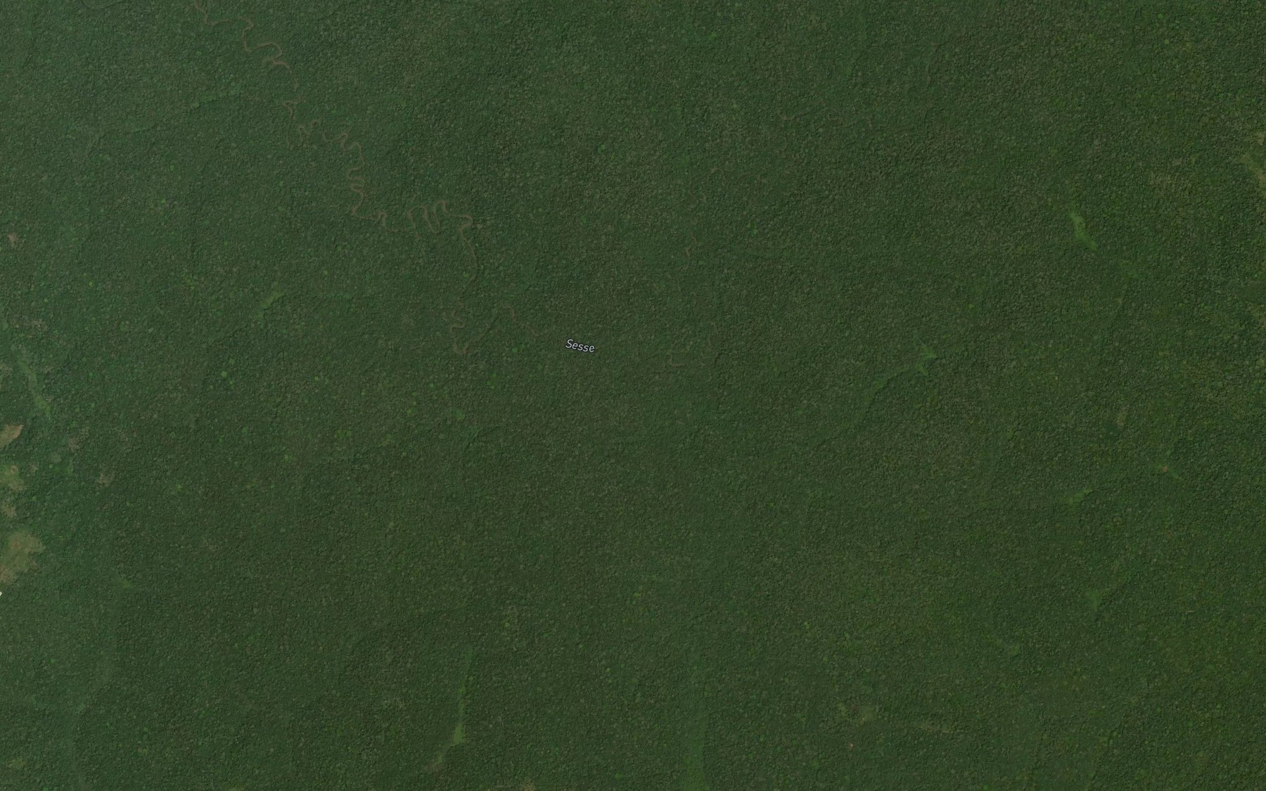 Satellite map of the Yangamo
