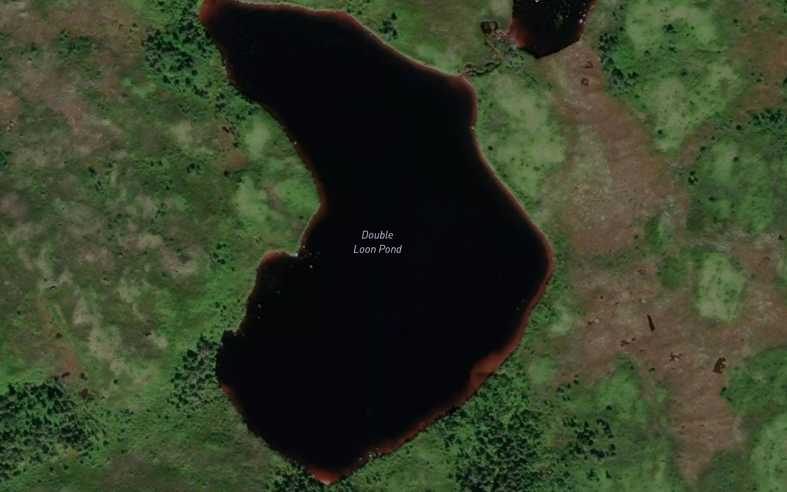 Double Loon Pond