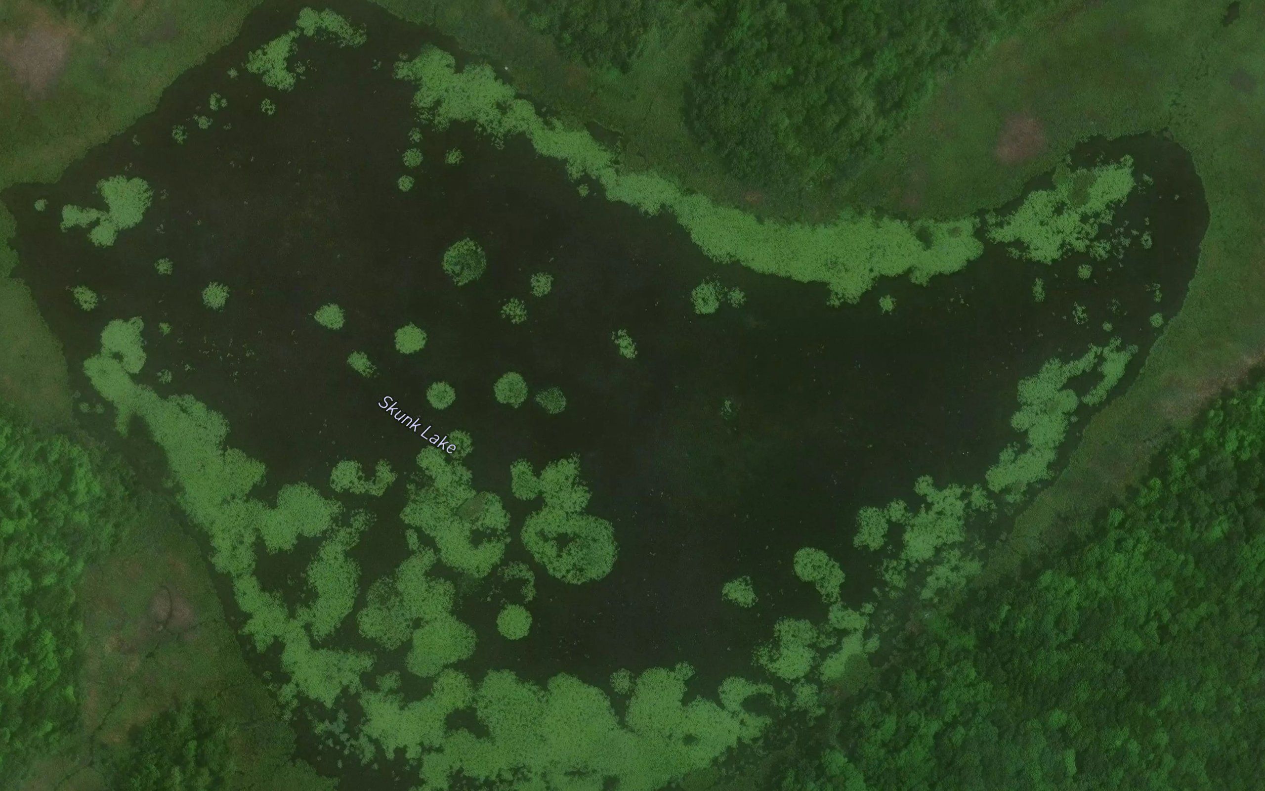 Skunk Lake