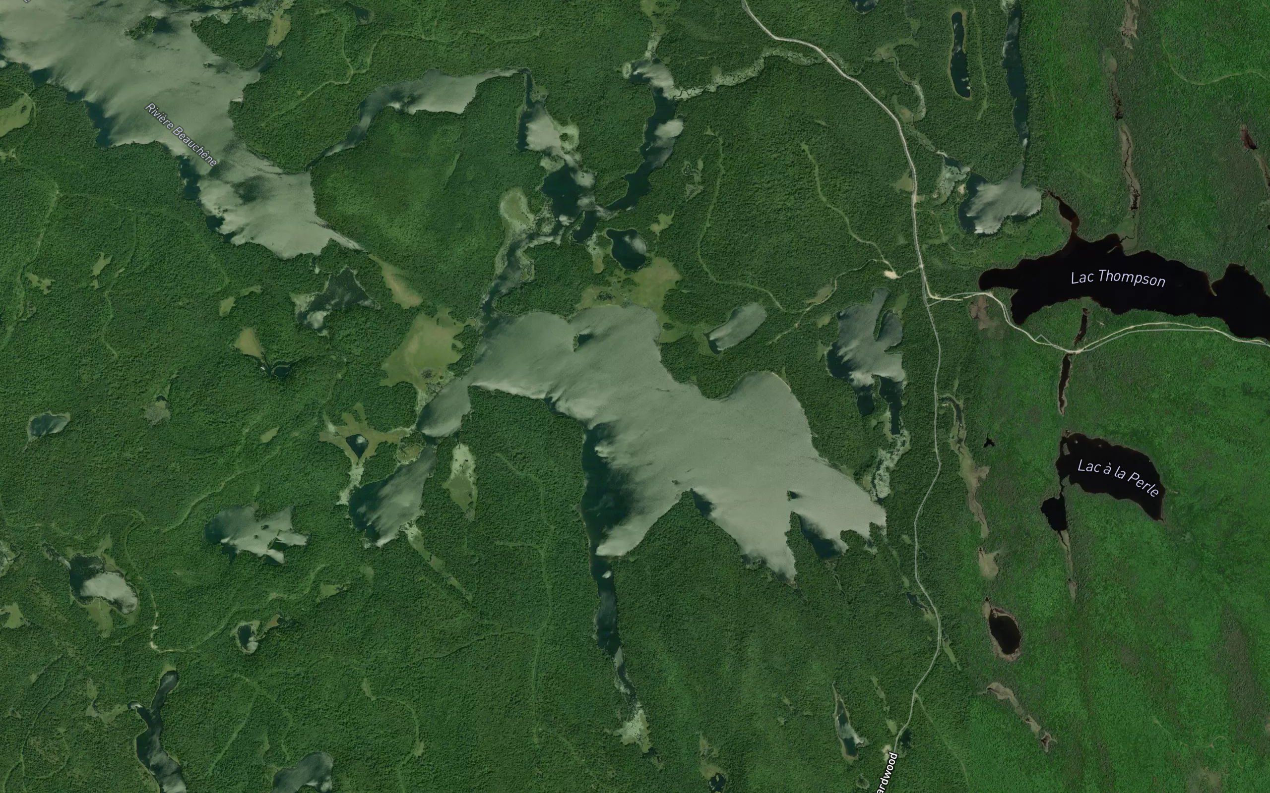 Lac Spearman