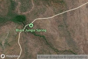 Black Jungle Spring