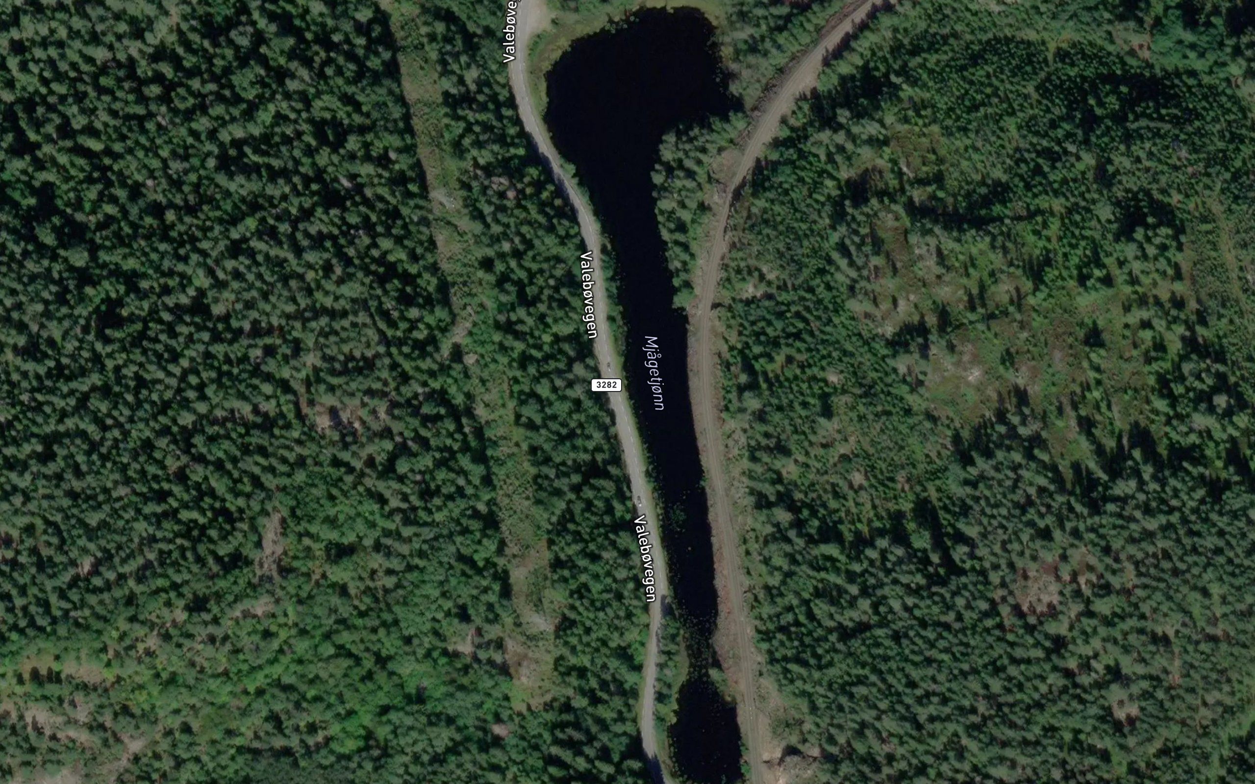 Mjagetjorn