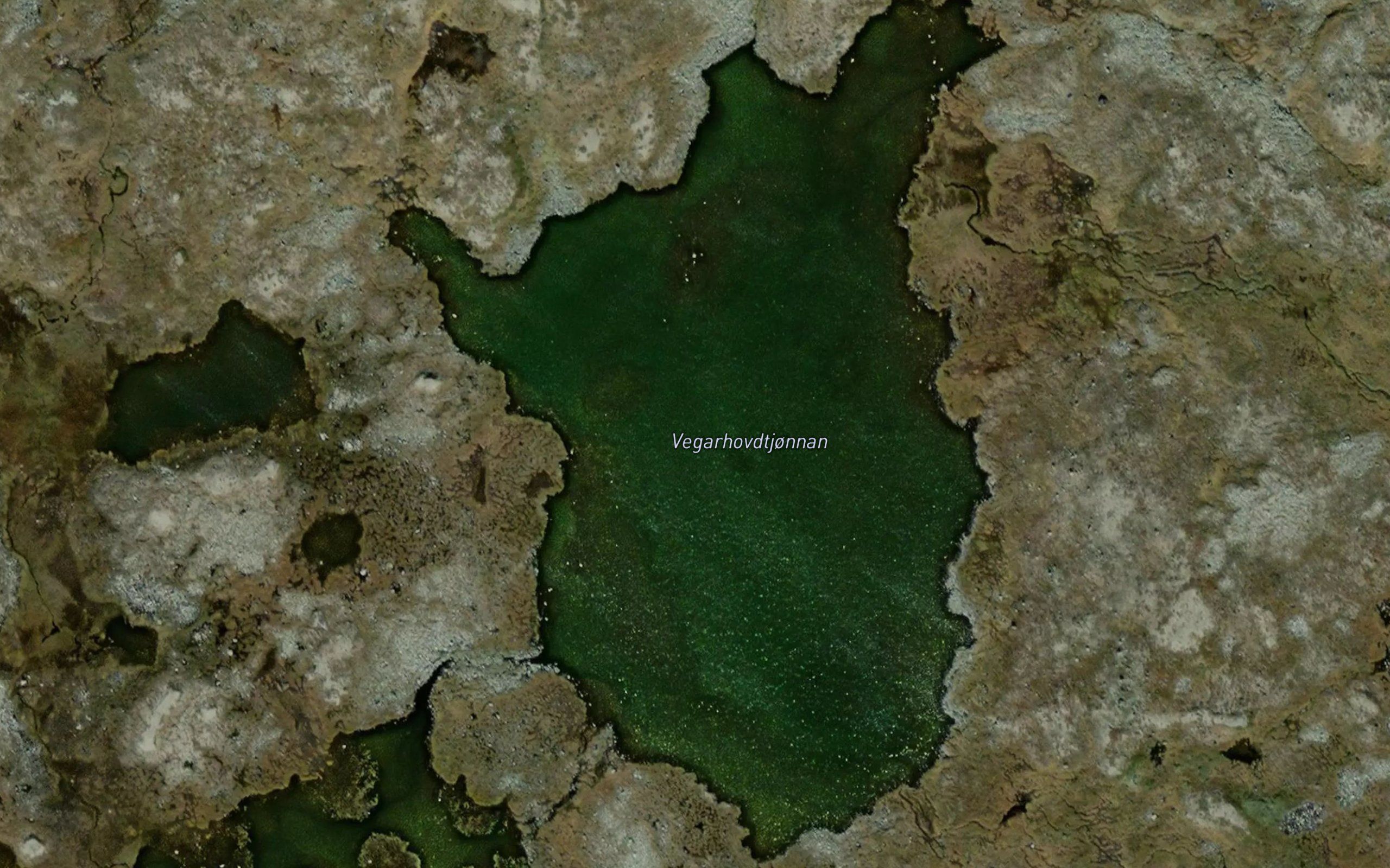 Vegarhovdtjonnan