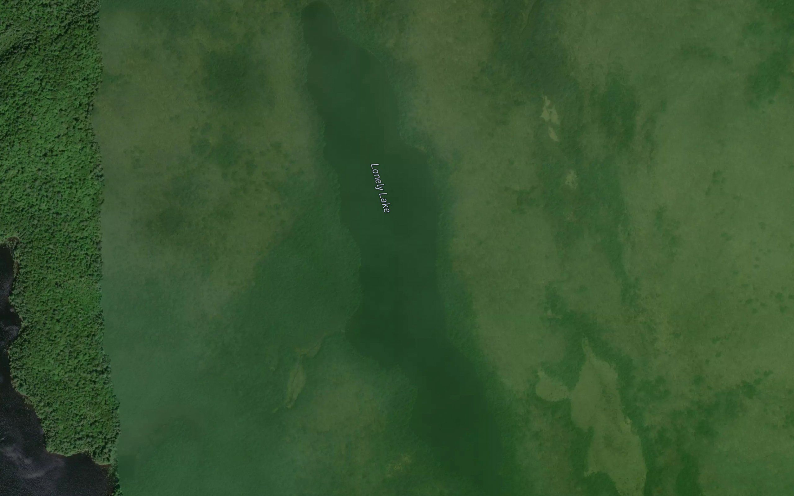 Lonely Lake