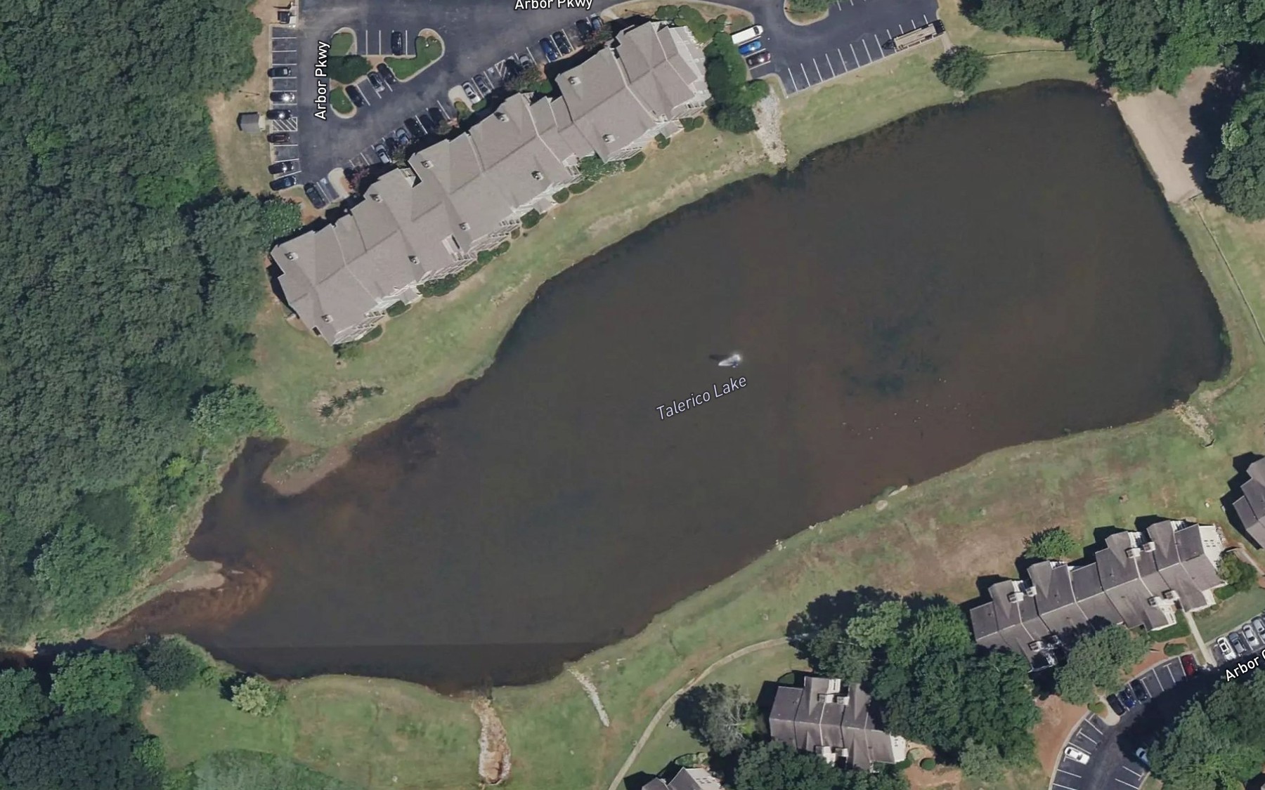 Satellite map of the Talerico Lake