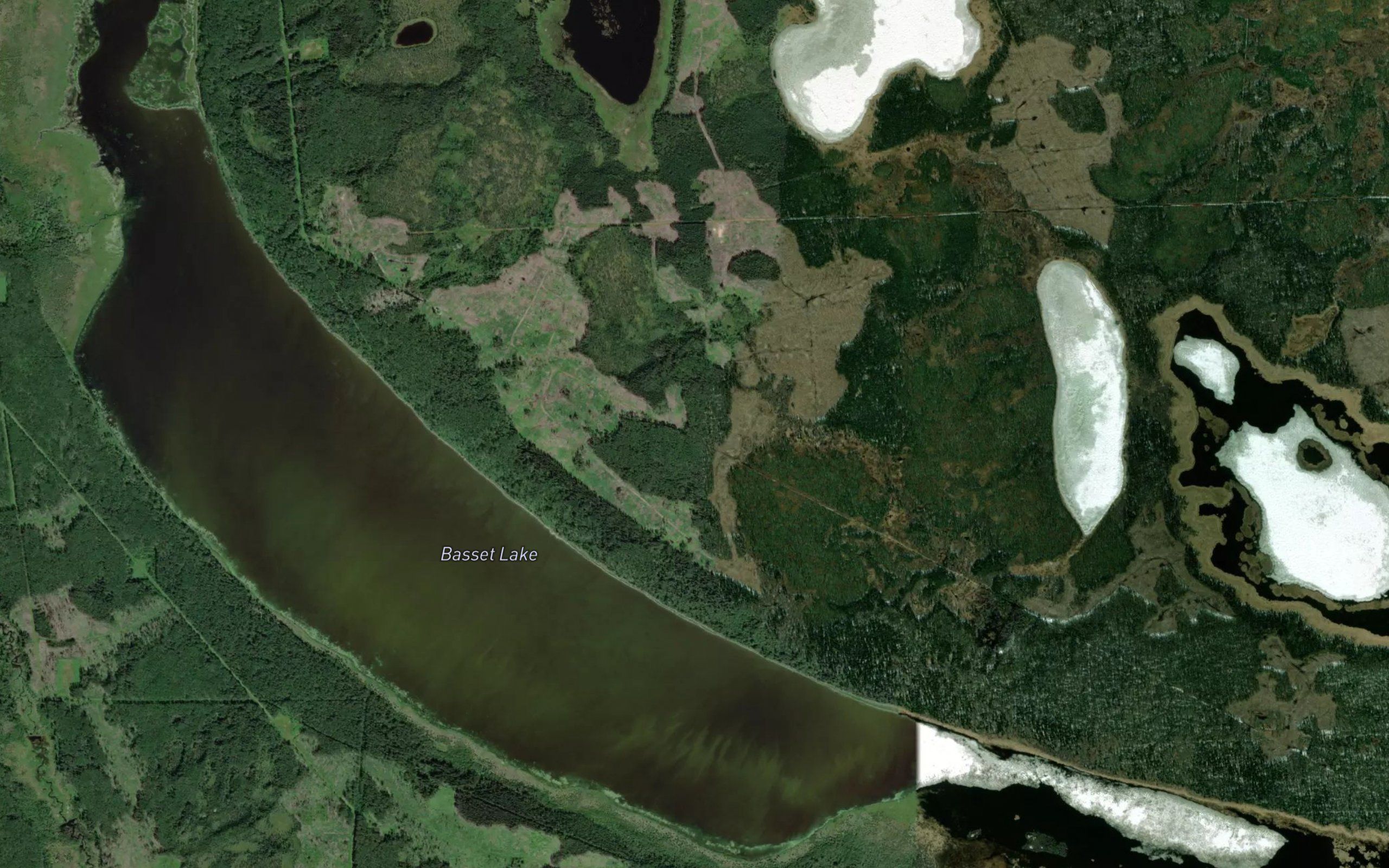 Basset Lake