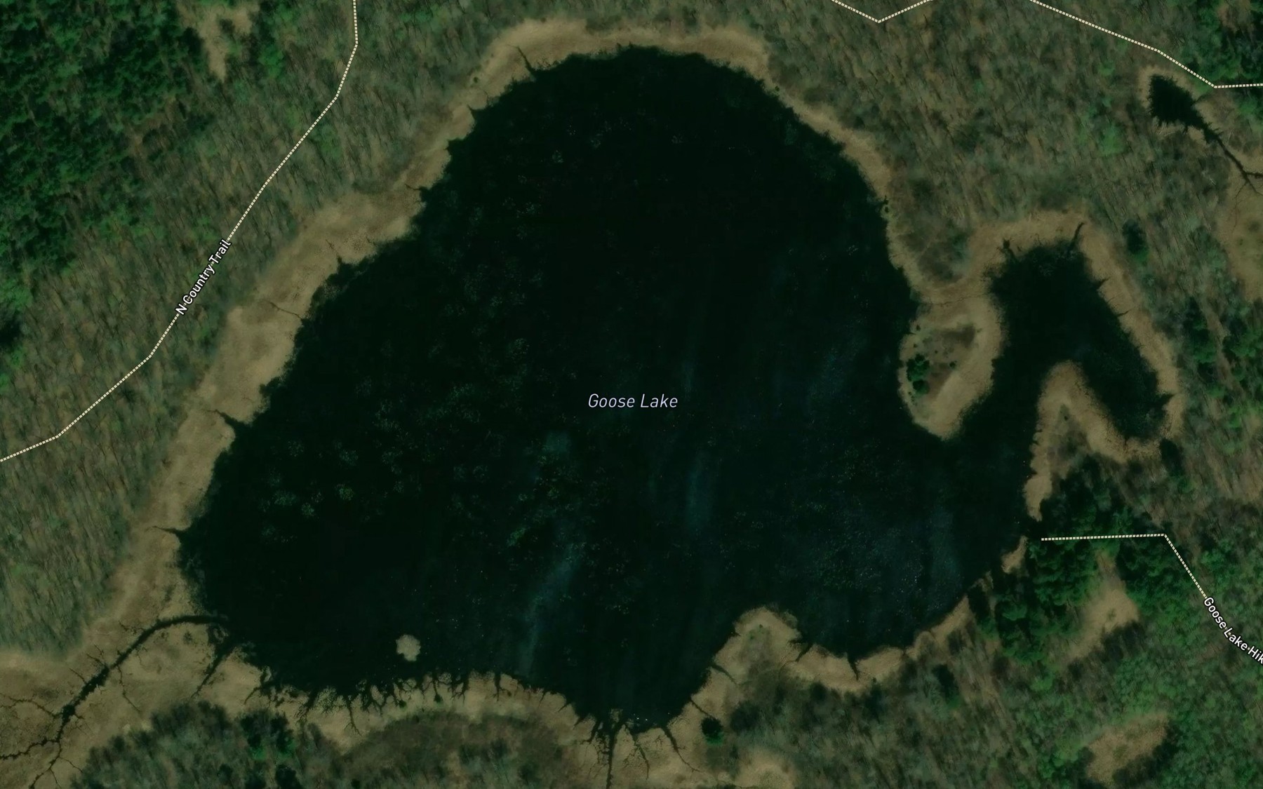 Goose Lake Fishing, Cass County | Fishbox