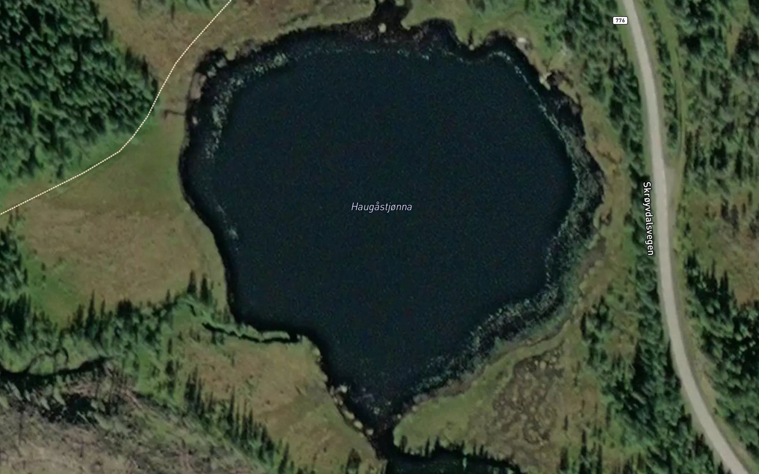 Haugastjorna