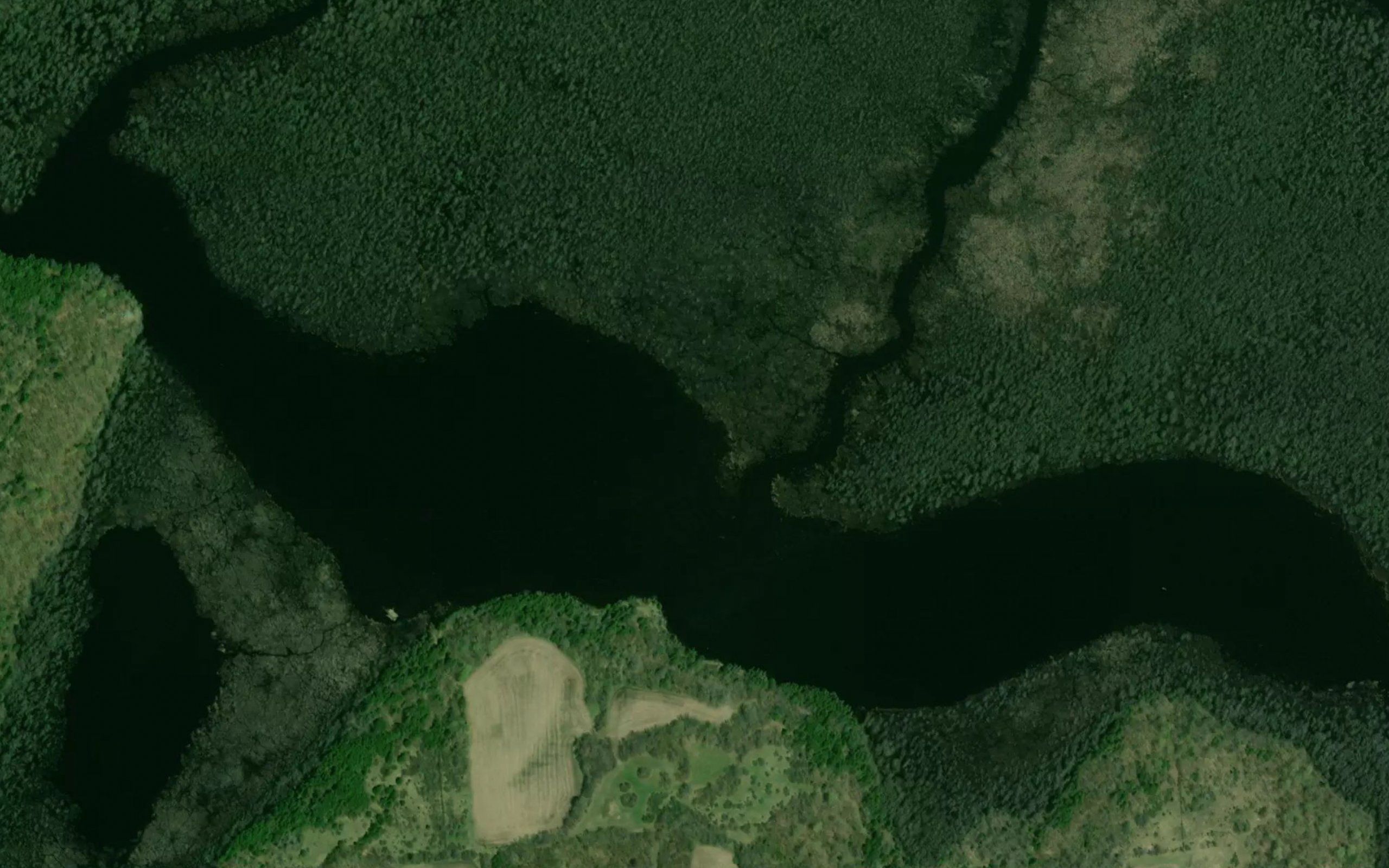 Napanee Lake