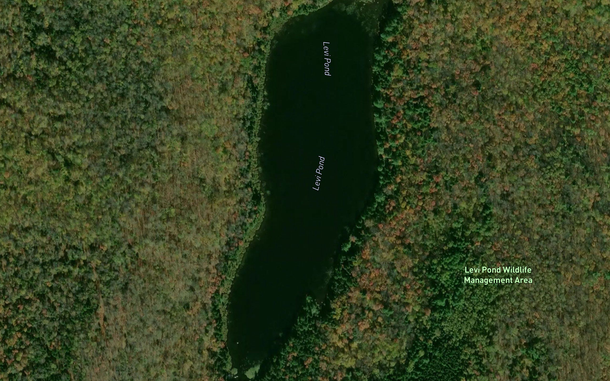Levi Pond