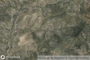 Canada Palo Tierrito