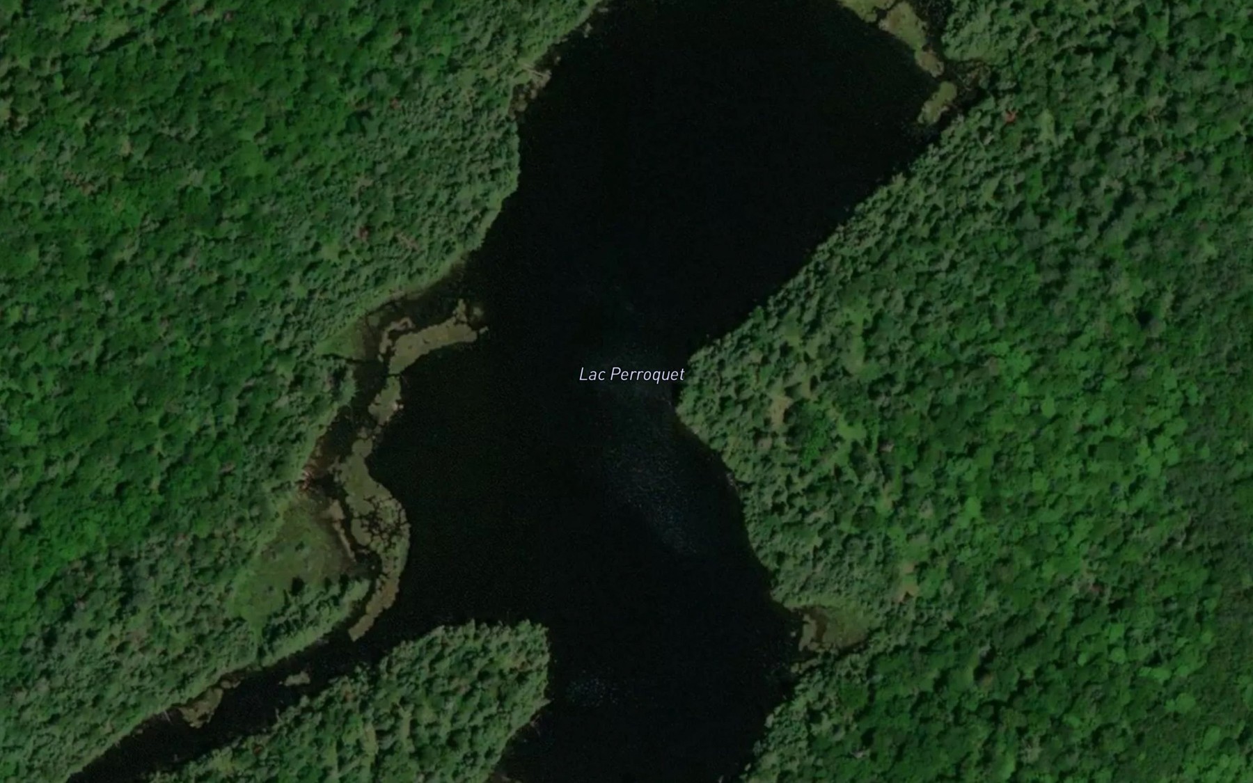 Satellite map of the Lac Perroquet