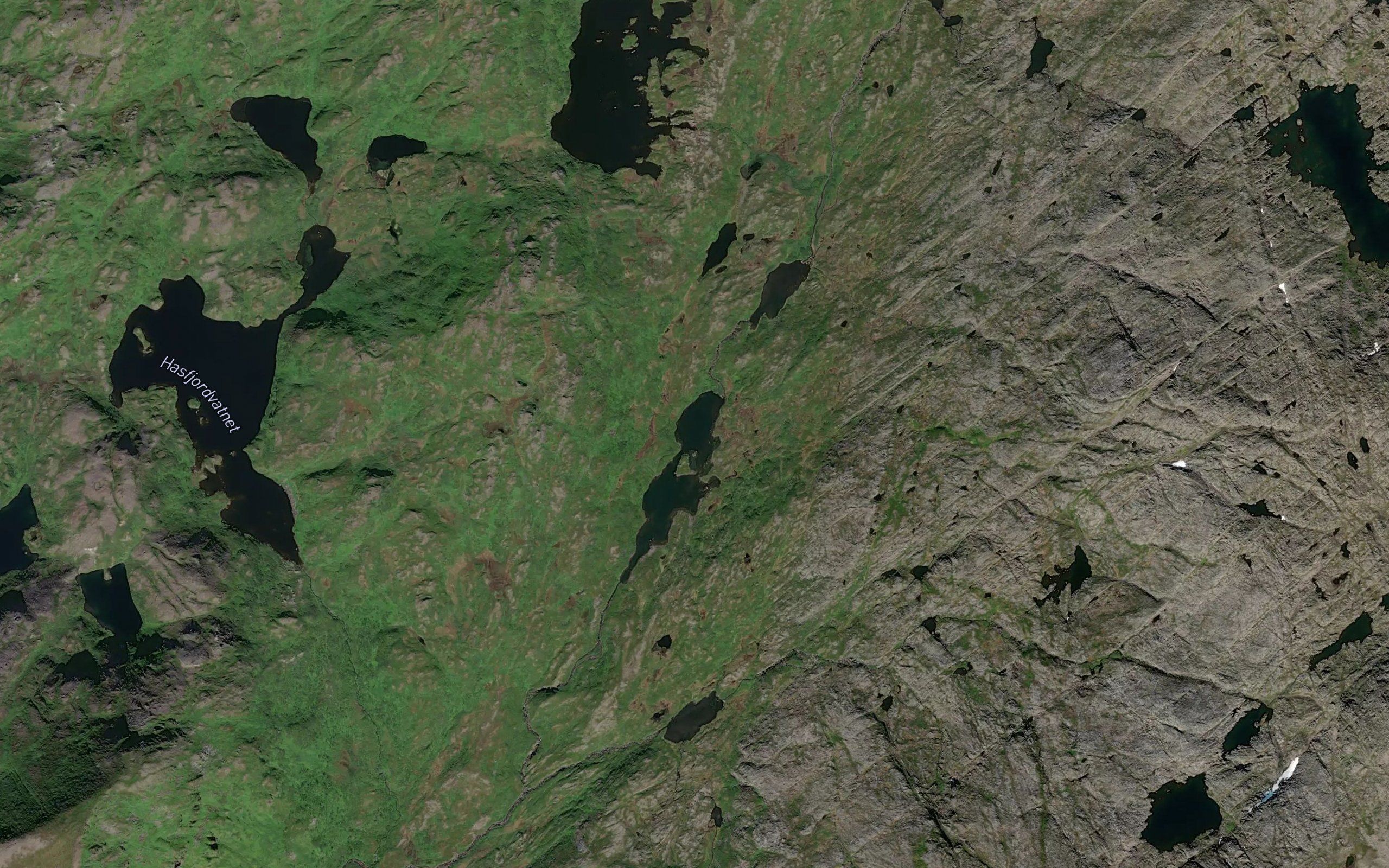 Midtervatnet